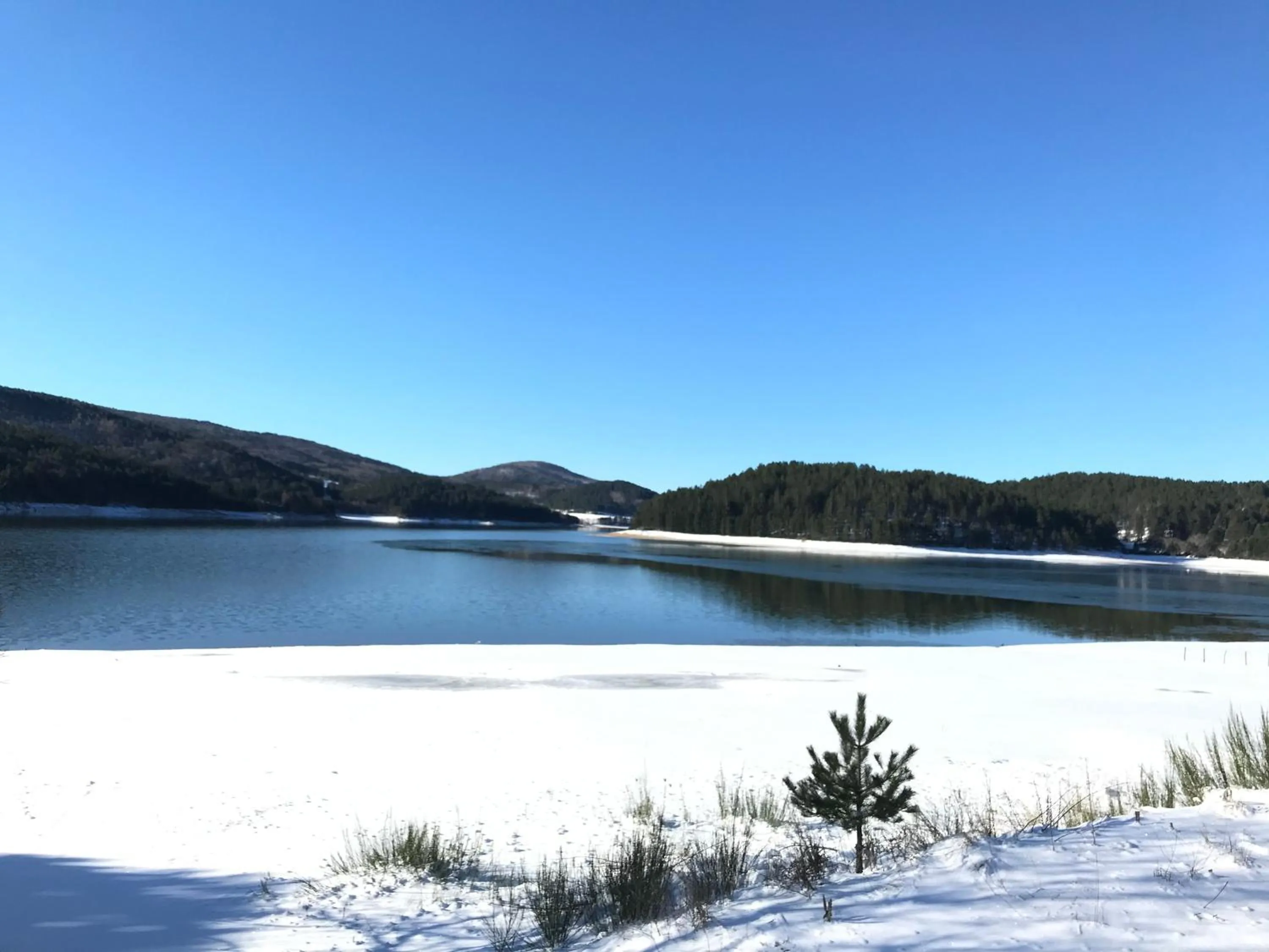 Natural landscape in Arvo Residence Sila Lorica