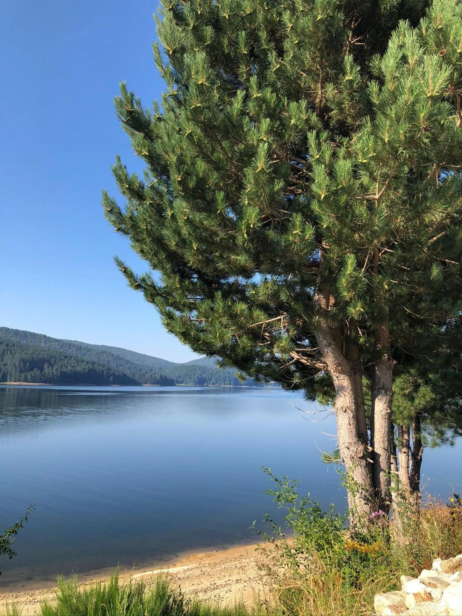 Natural landscape in Arvo Residence Sila Lorica