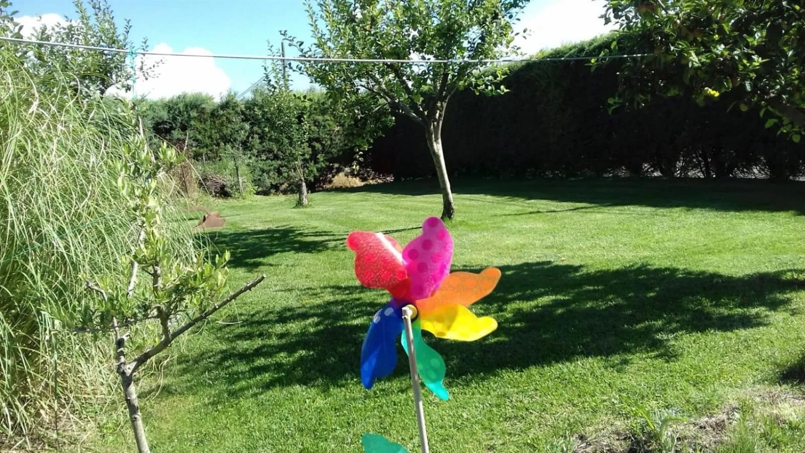 Garden in Al dolce dormire