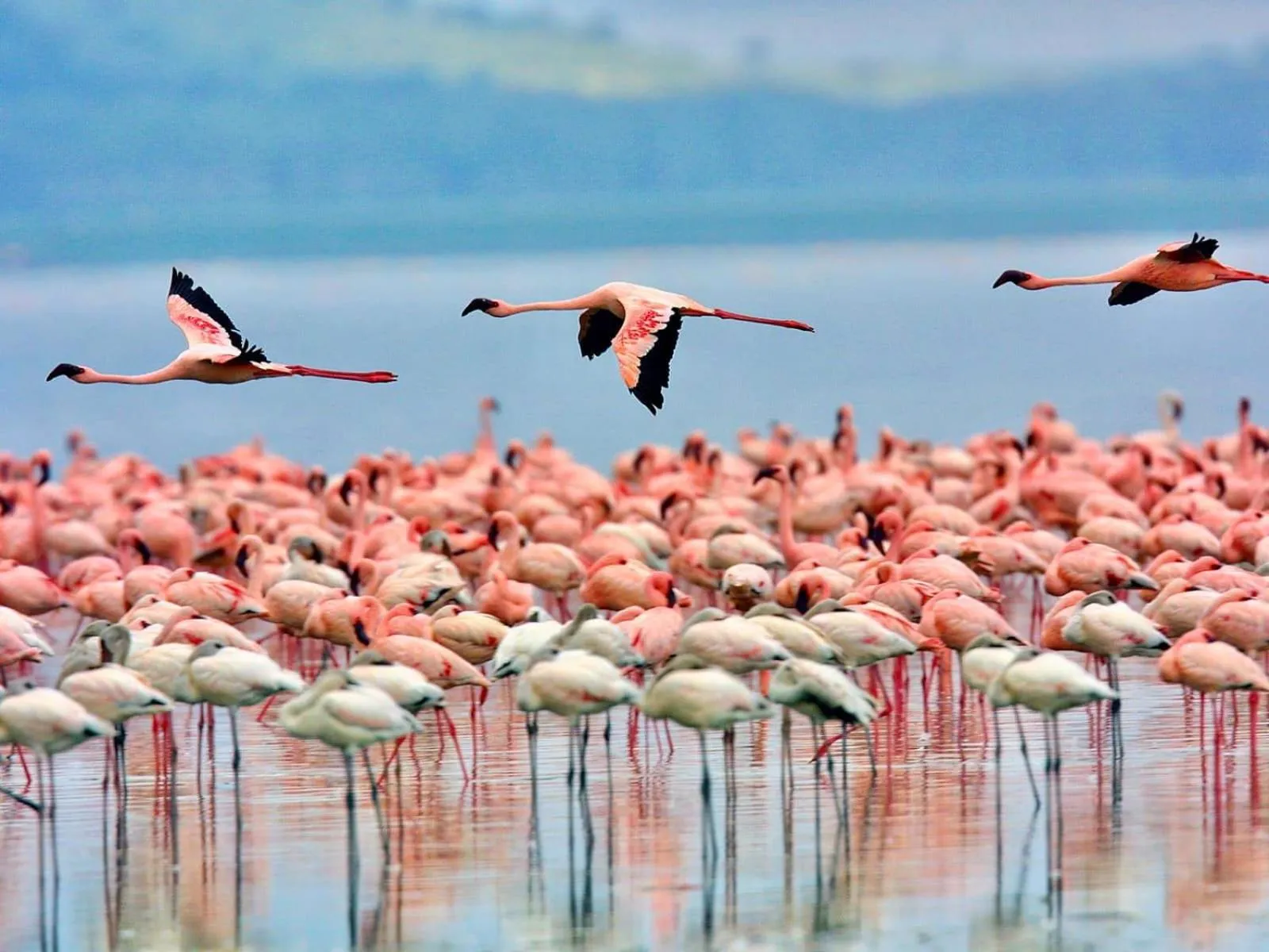 Winter in Victoria's Suites Corfu