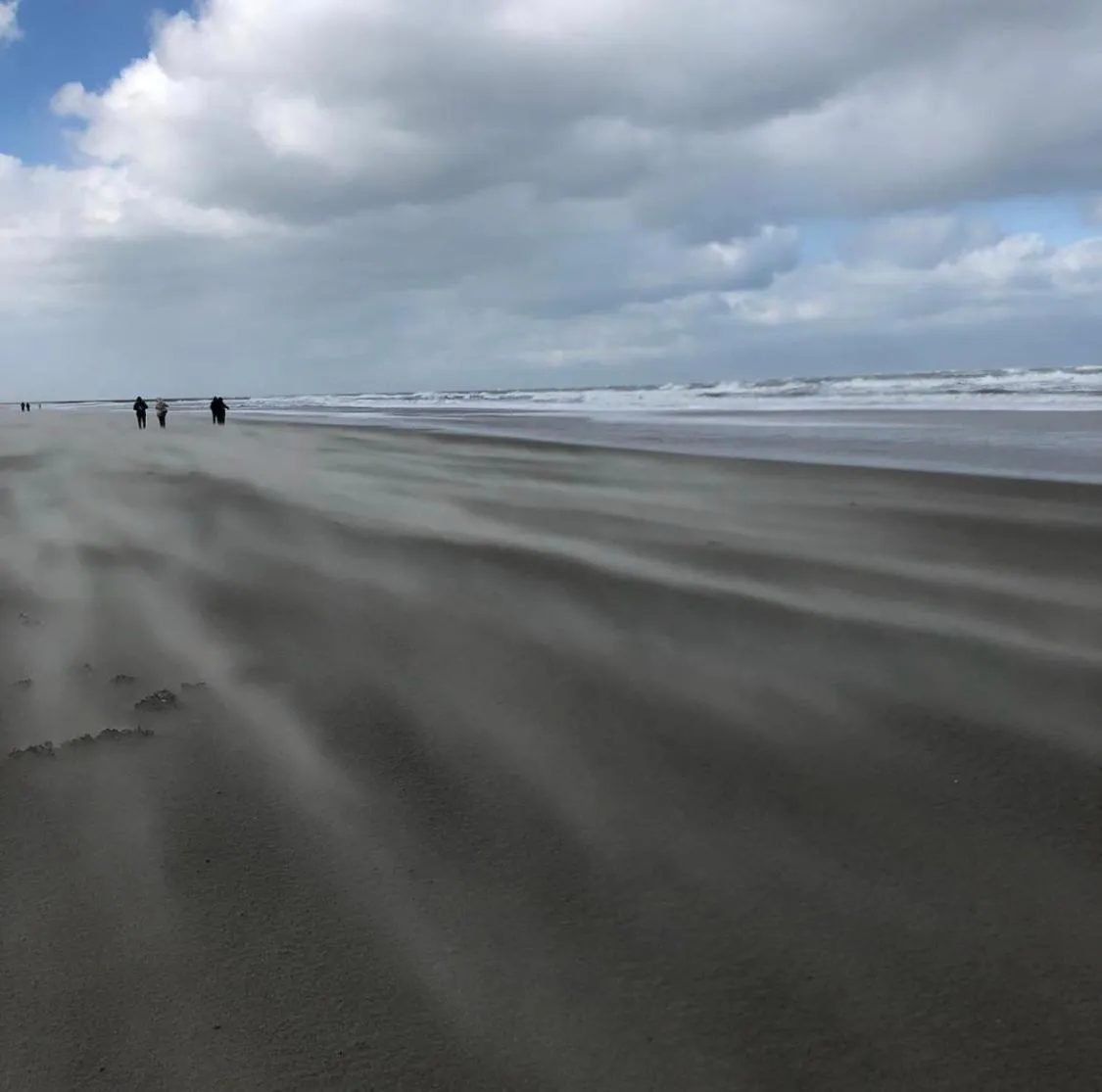 Natural landscape in Hotel Strandhus
