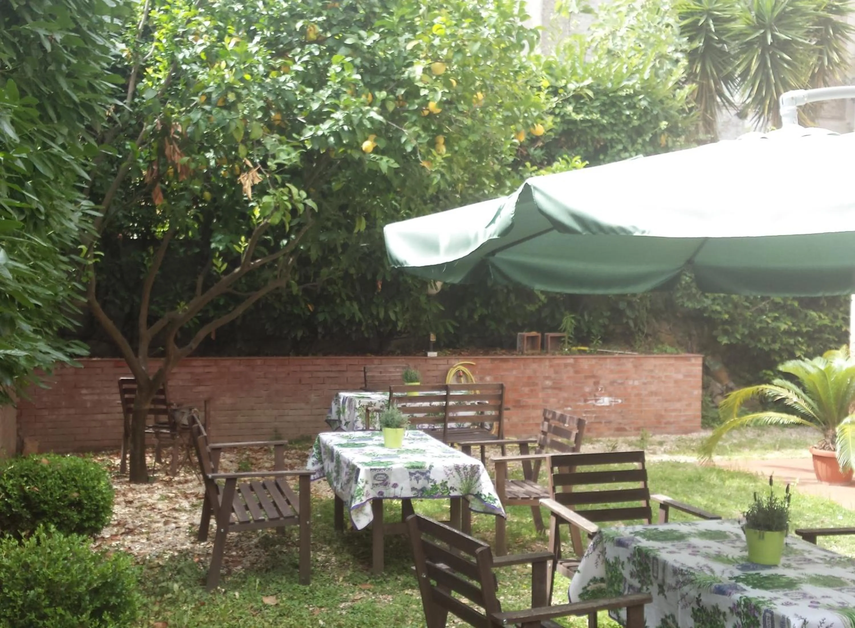 Garden in St. John Villa