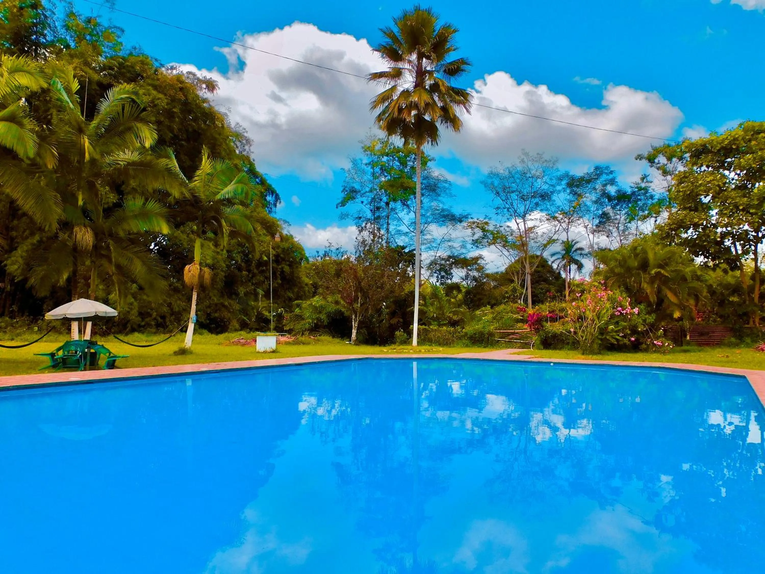 Natural landscape in Puerto Quito Lodge - Las Iguanas
