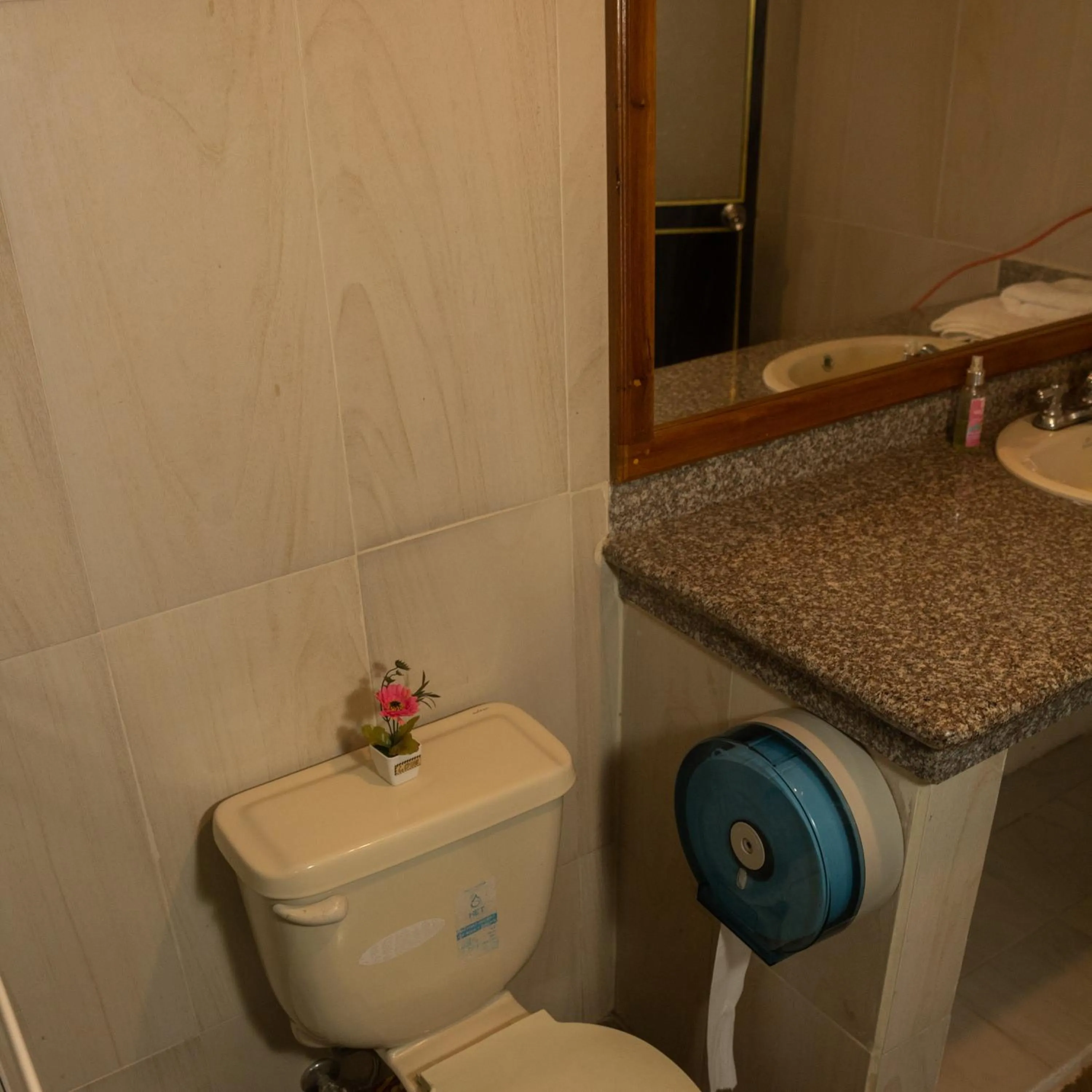 Toilet in Puerto Quito Lodge