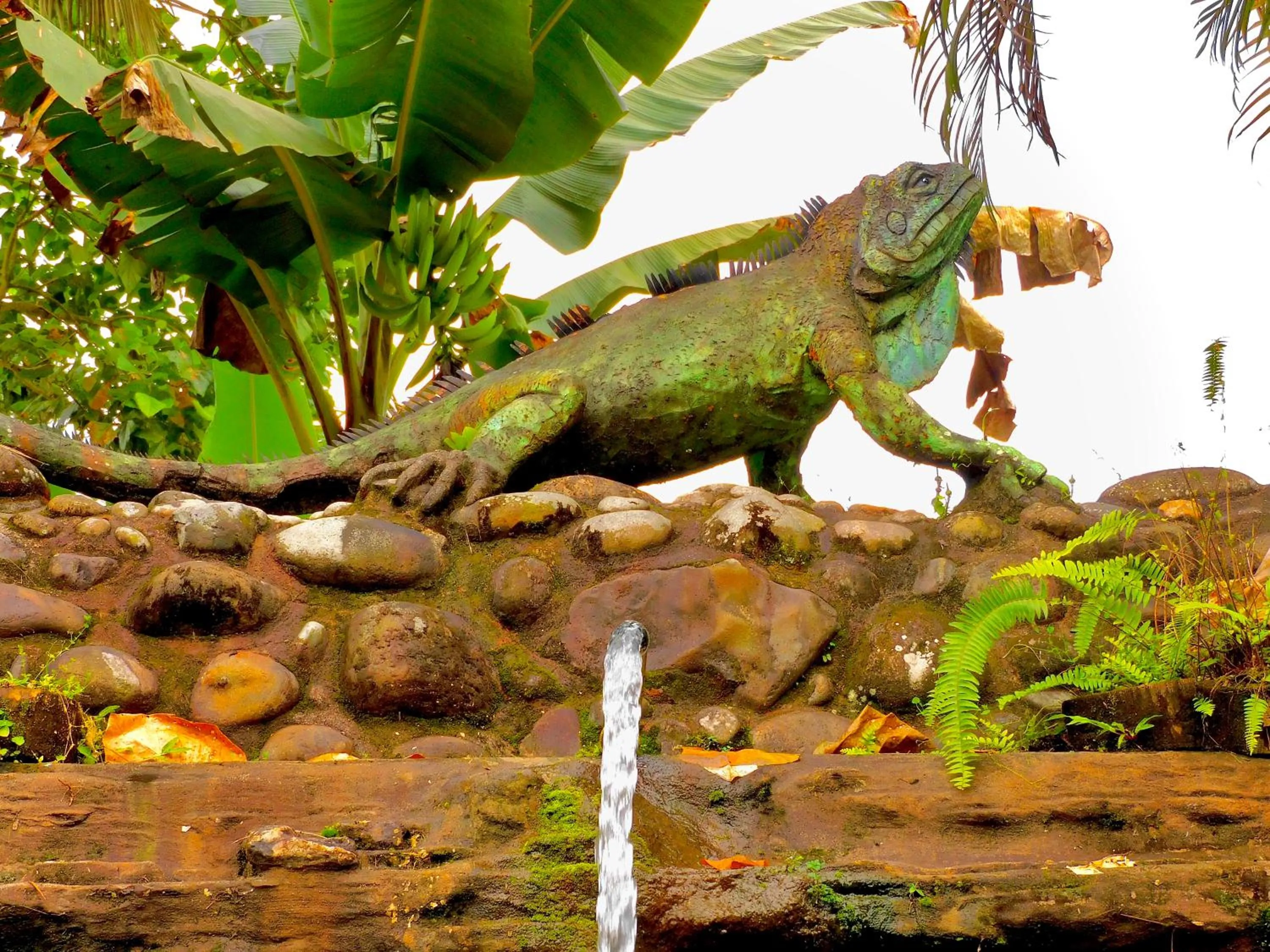 Nearby landmark in Puerto Quito Lodge - Las Iguanas