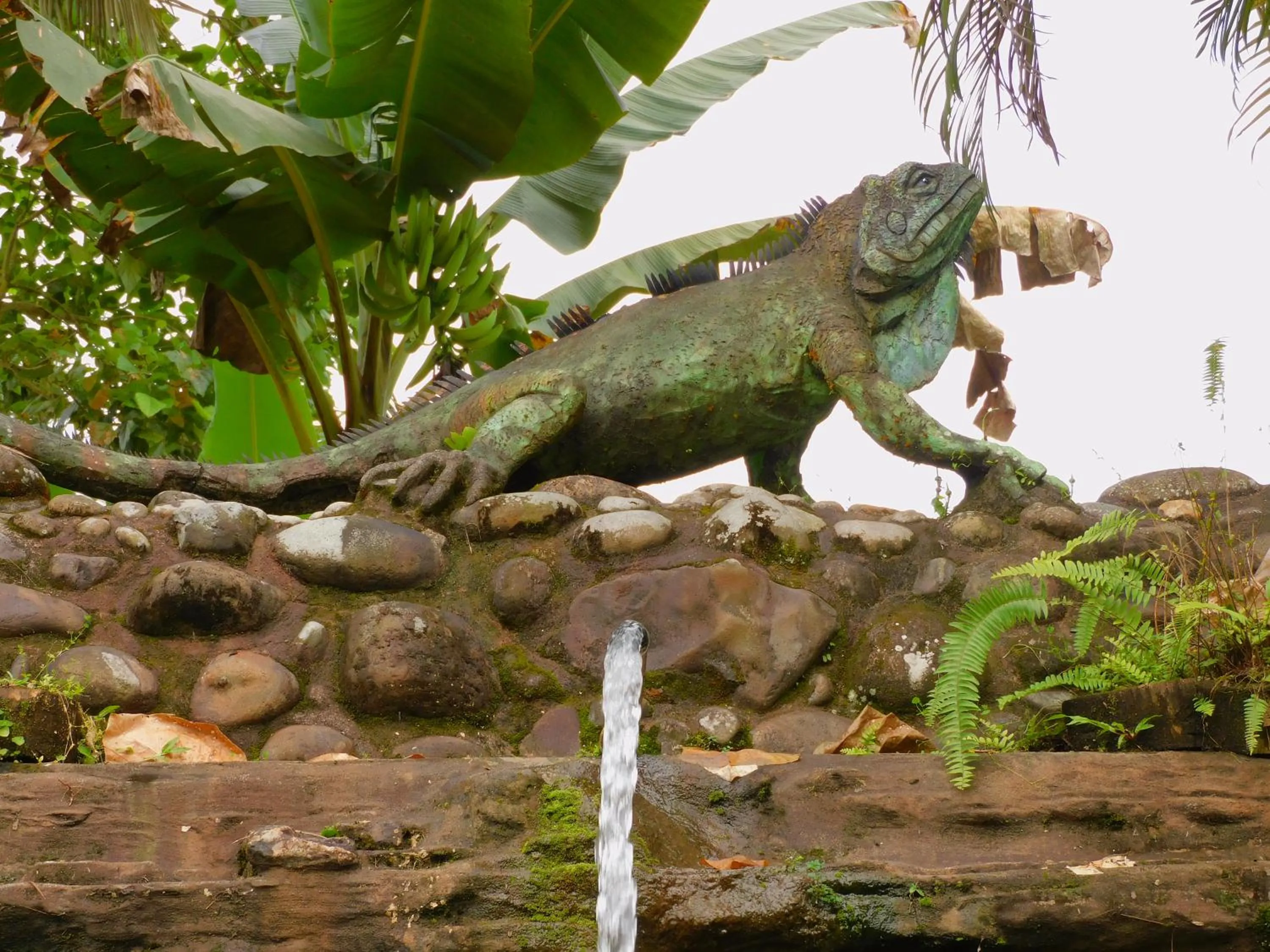 Nearby landmark in Puerto Quito Lodge
