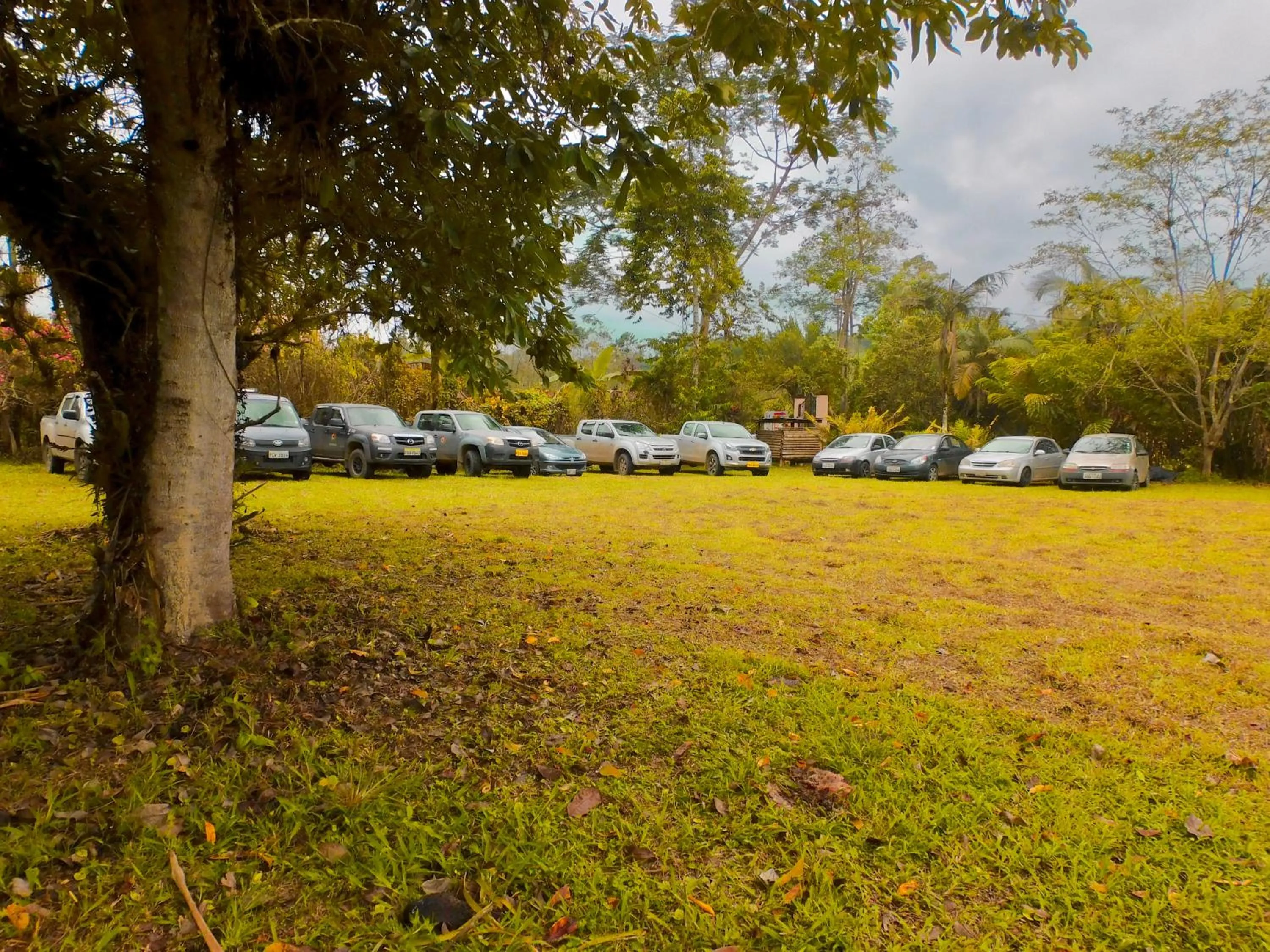 Day in Puerto Quito Lodge - Las Iguanas