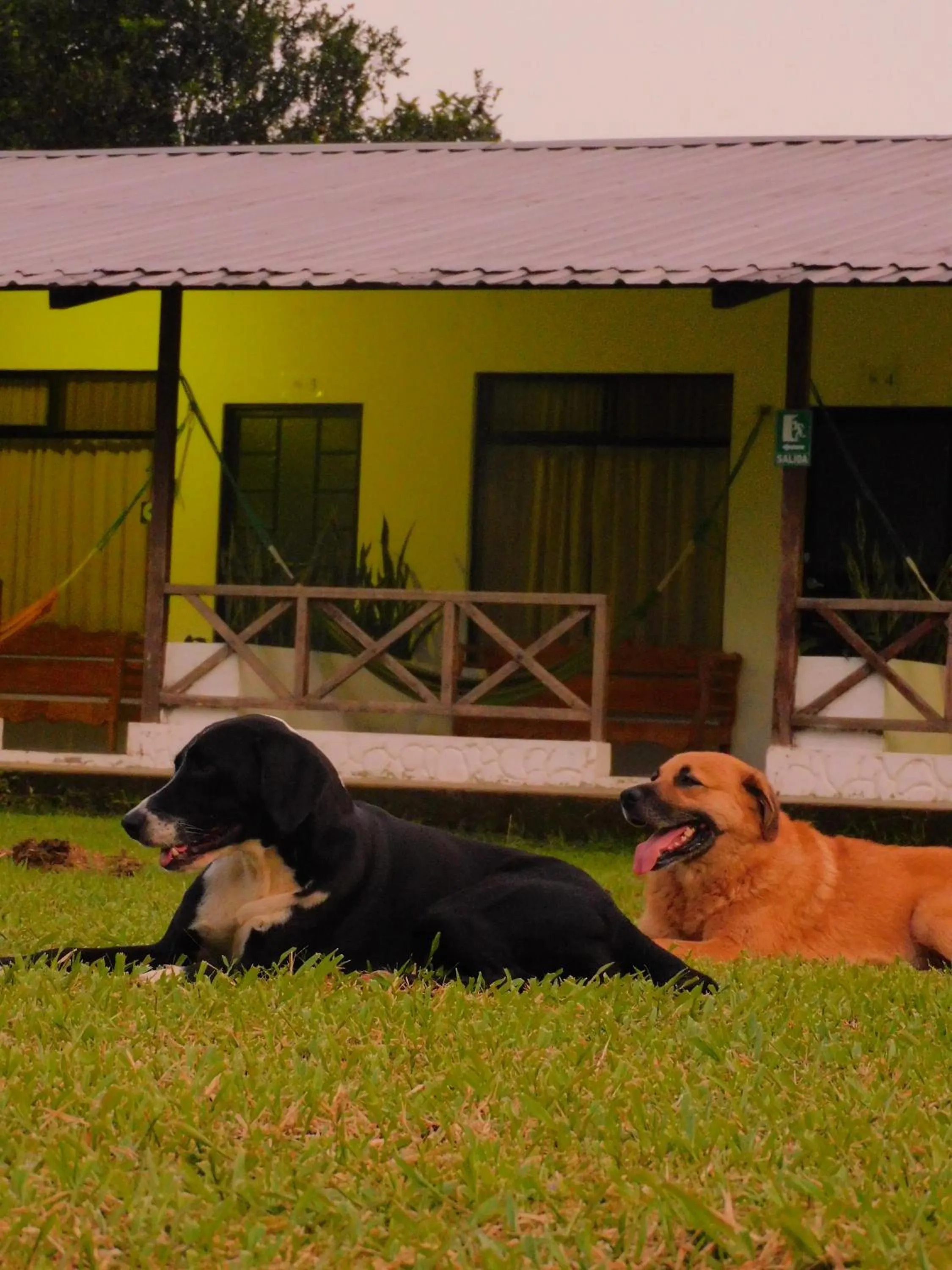 Day in Puerto Quito Lodge