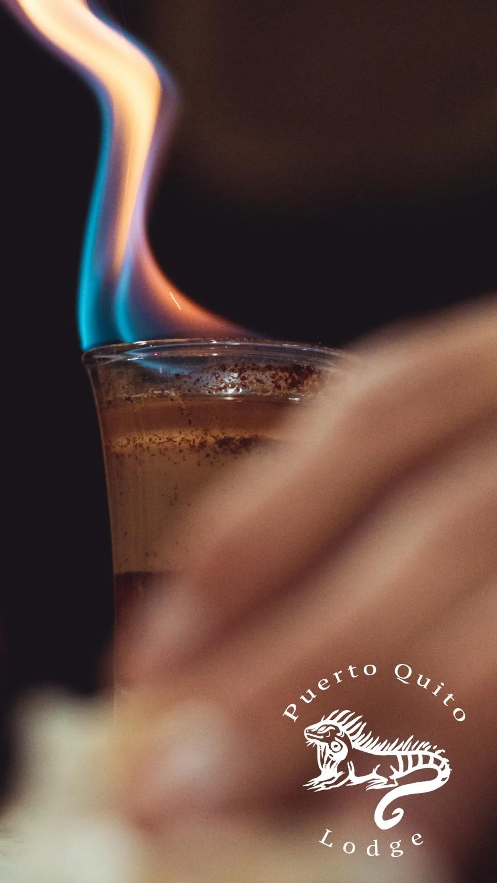 Food and drinks in Puerto Quito Lodge