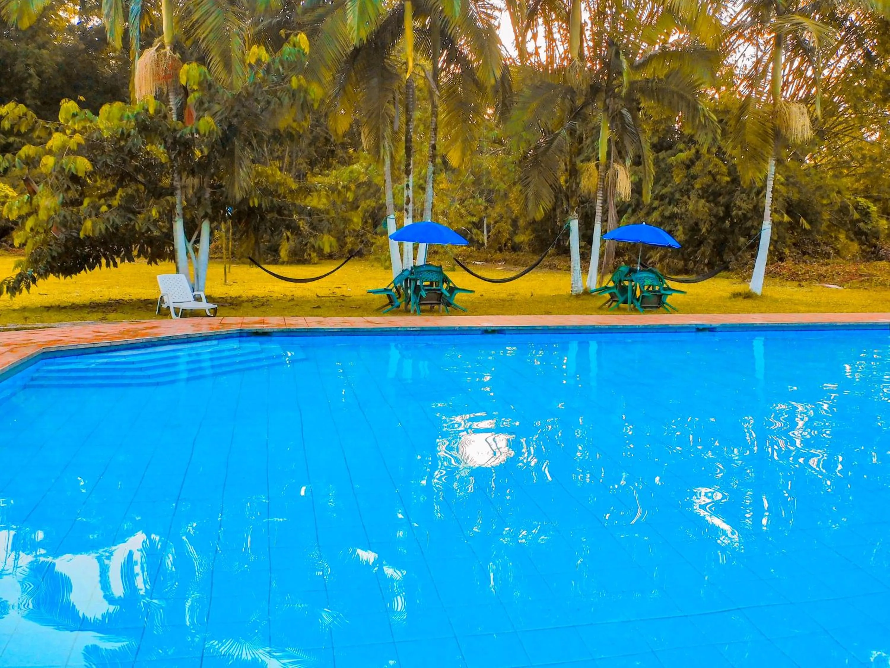 Natural landscape in Puerto Quito Lodge - Las Iguanas