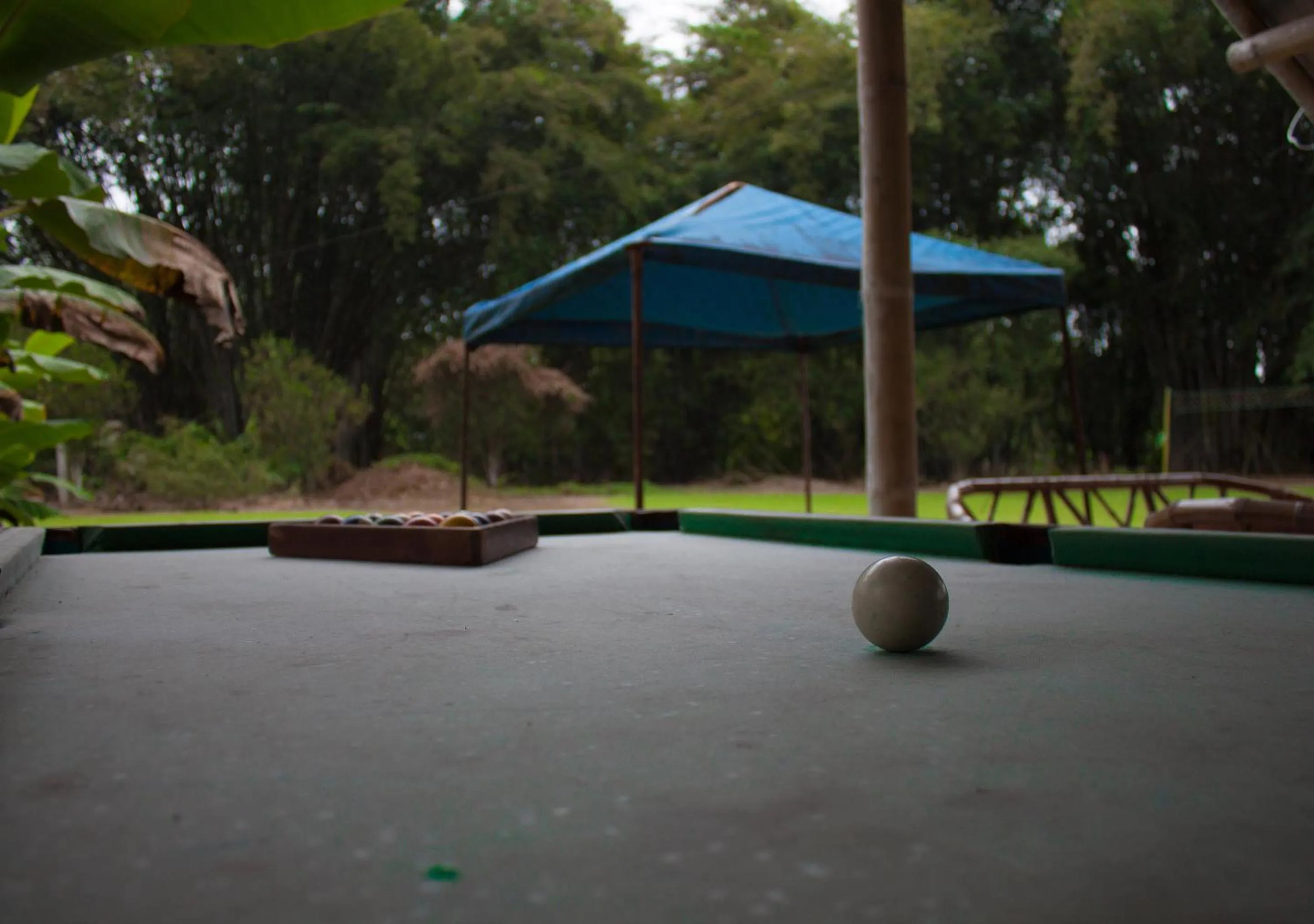 Day in Puerto Quito Lodge