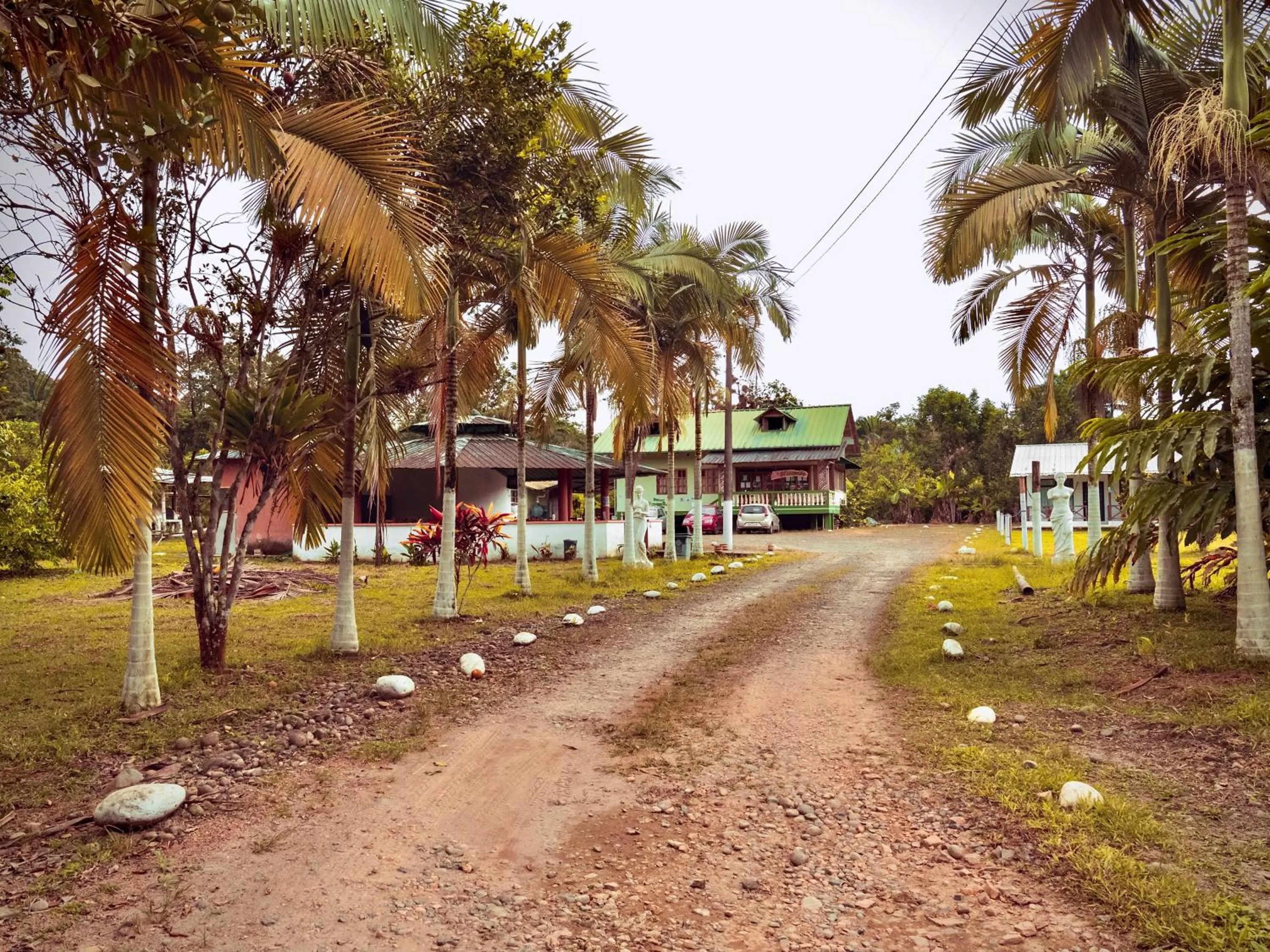 Natural landscape in Puerto Quito Lodge - Las Iguanas
