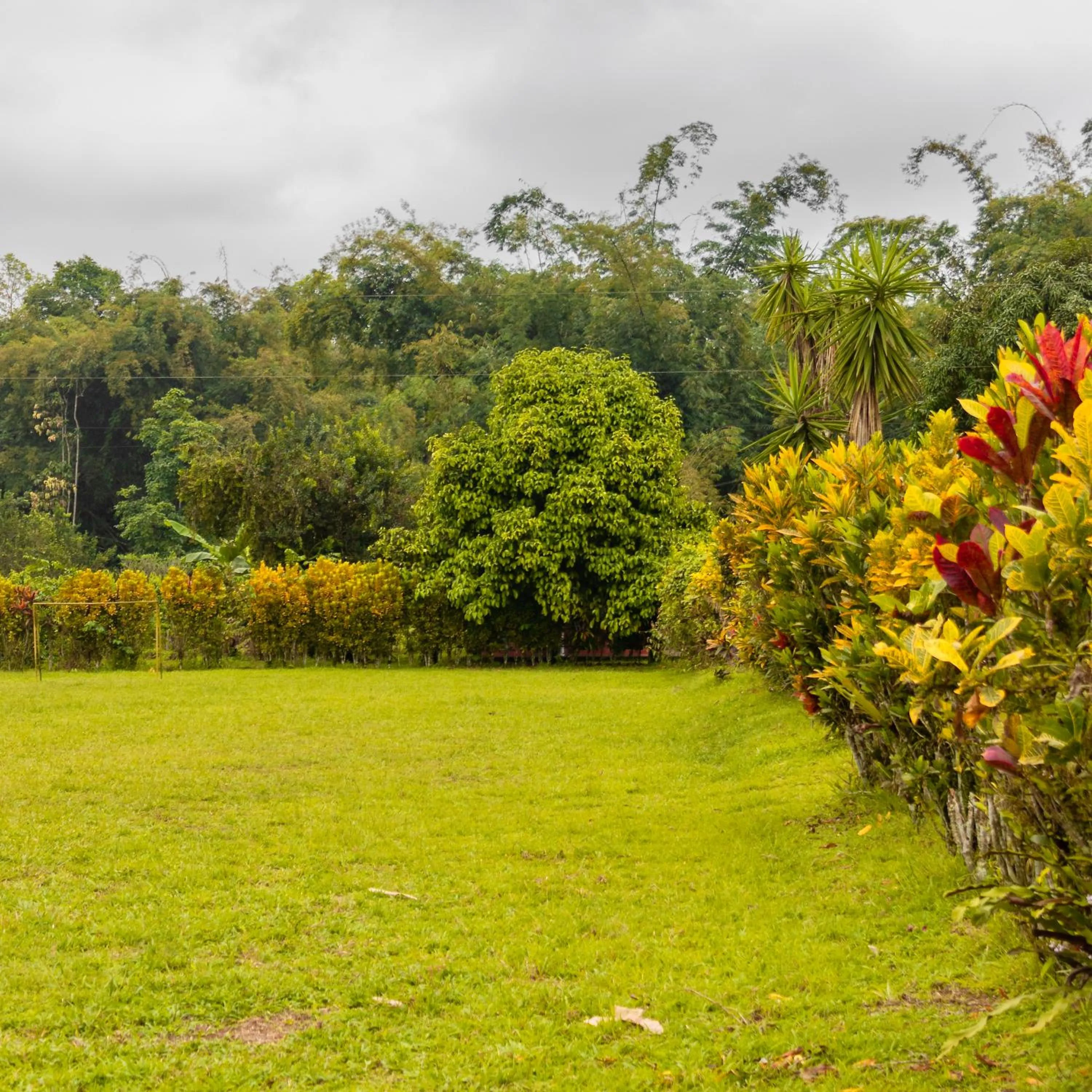 Spring in Puerto Quito Lodge - Las Iguanas