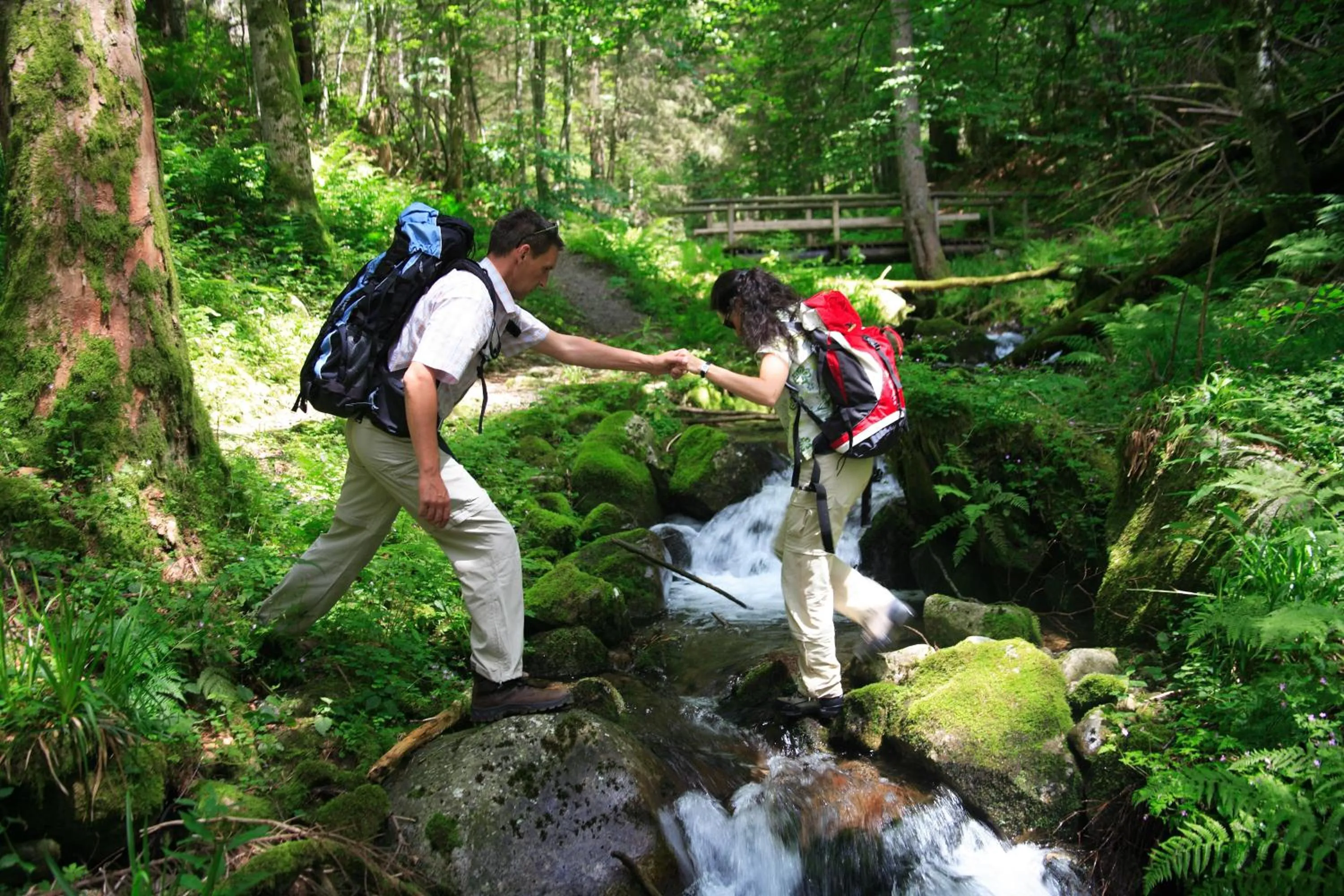 Nearby landmark in Hotel Restaurant Lindenhof