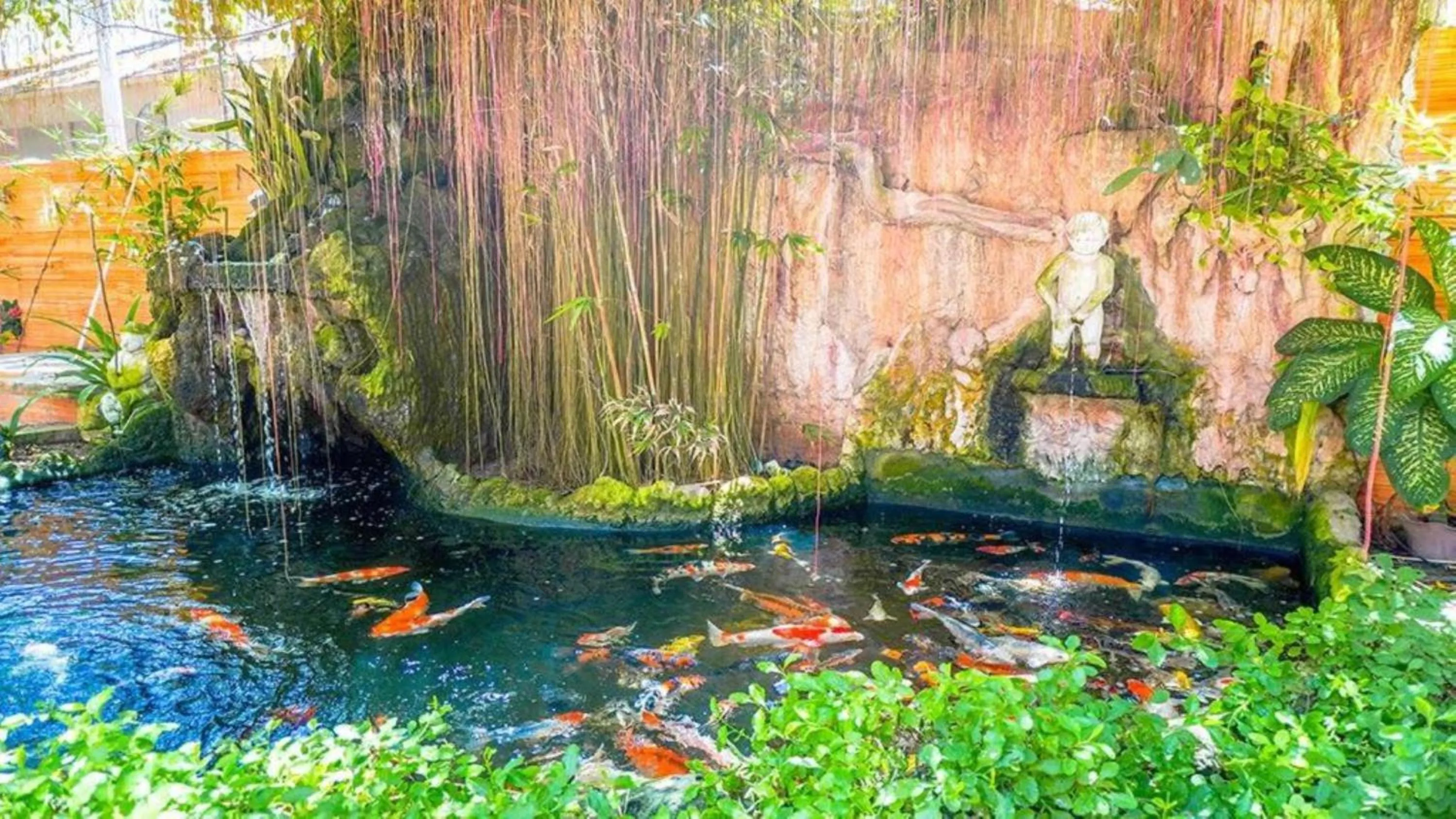 Natural landscape in NorthVille Beach Resort powered by Cocotel