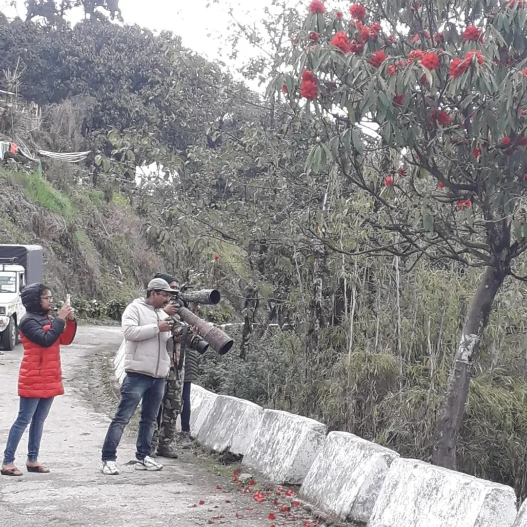 Activities in Salakha Homestay