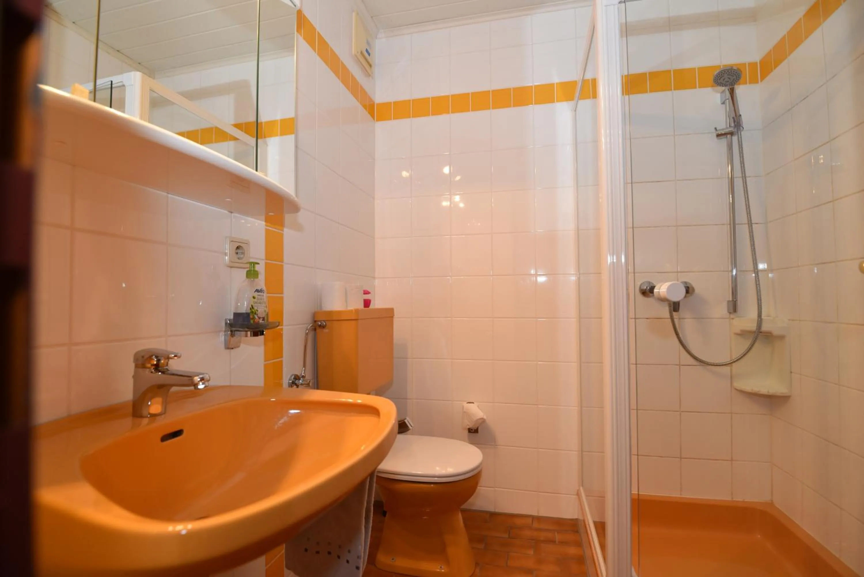 Shower in PM-APART Ries Rosina