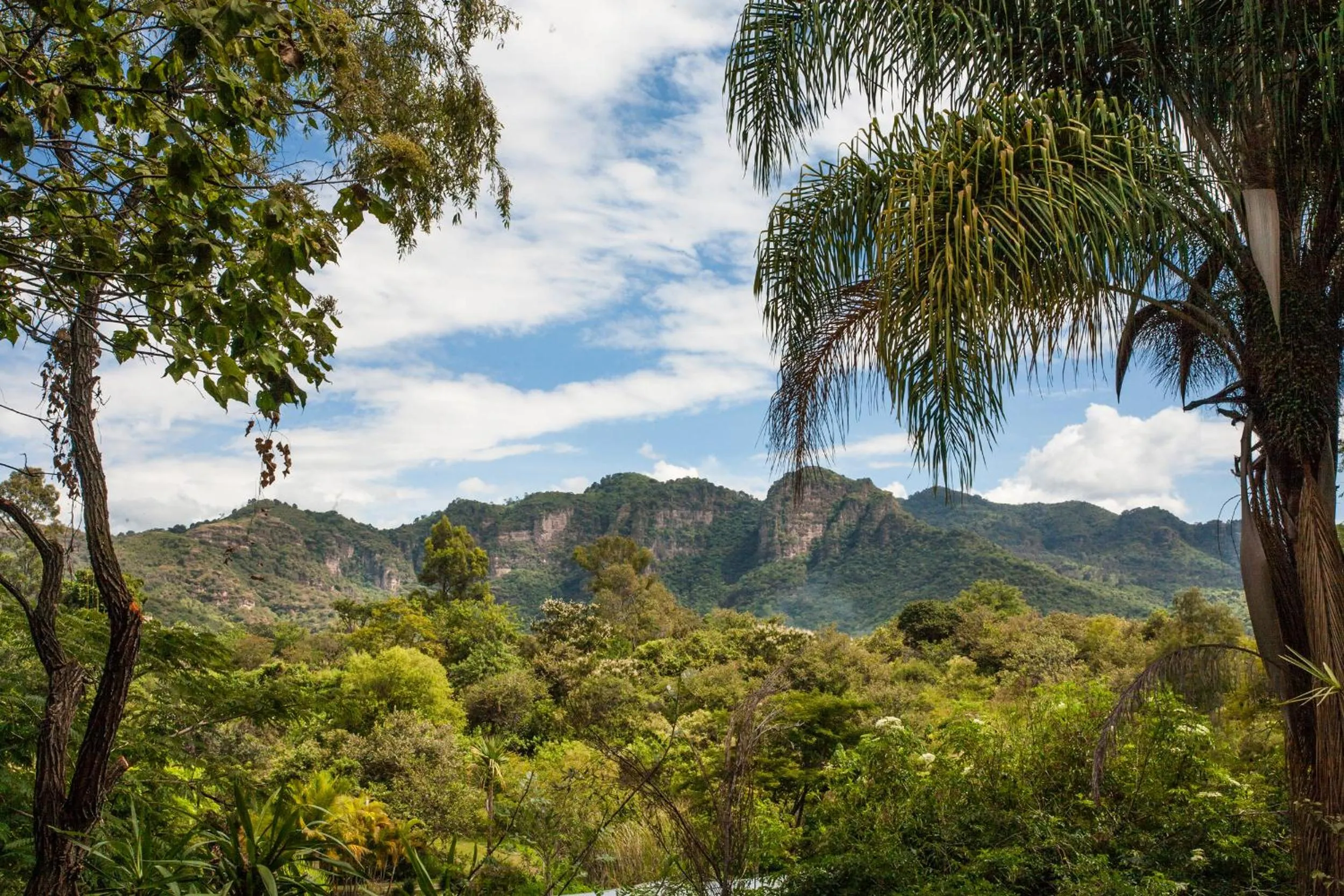 Day in Yolitia Wellness