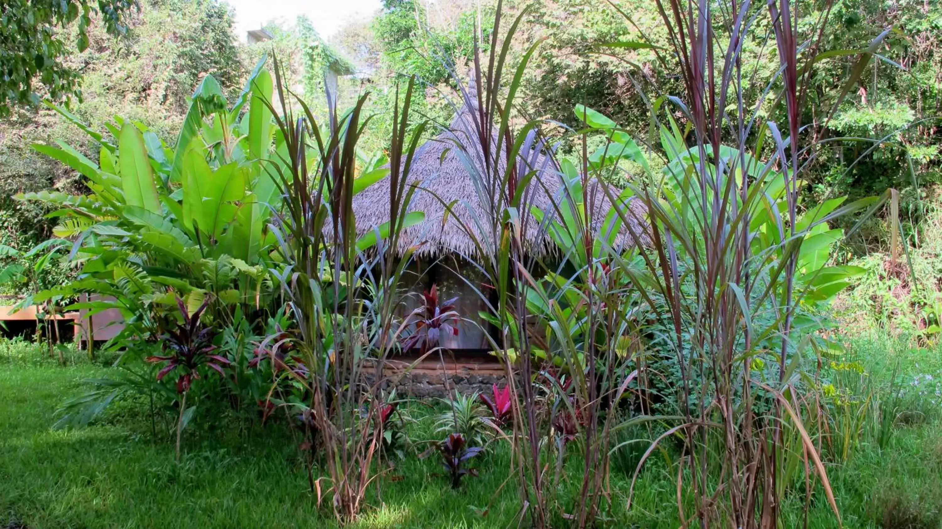 Standard Double Room in Yolitia Wellness Standard Double Room in Yolitia Wellness