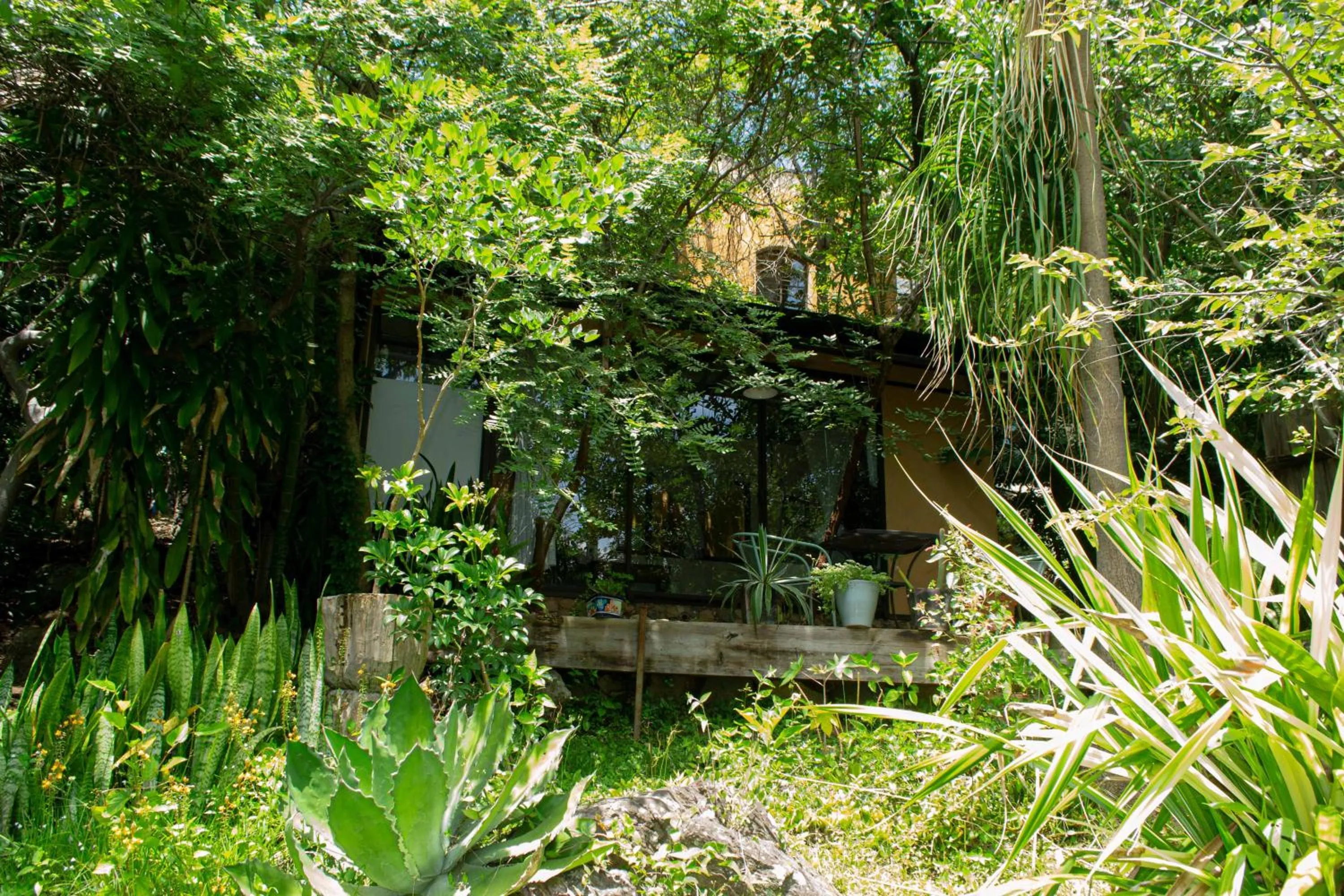 Queen Room in Yolitia Wellness