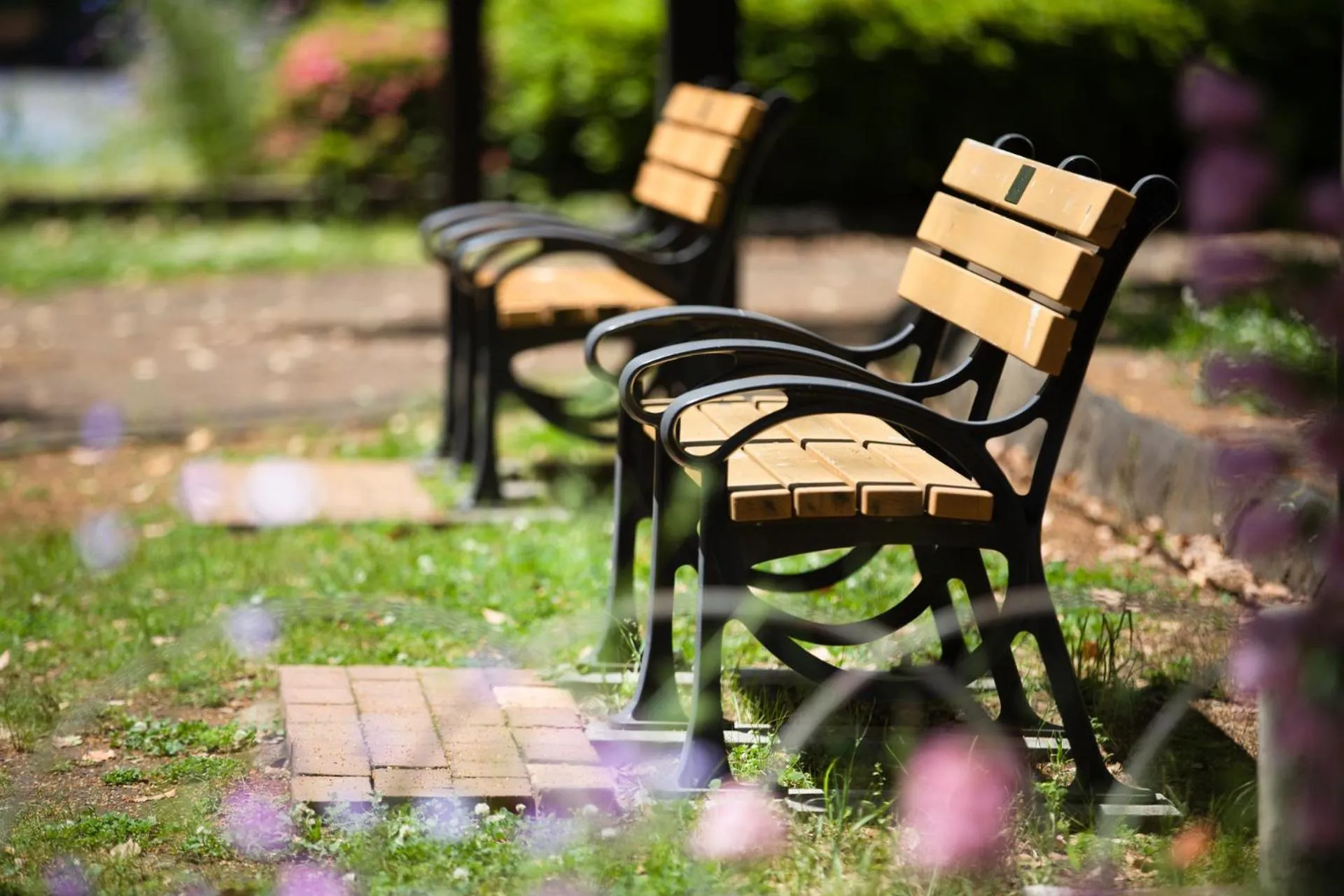 Neighbourhood in LOF HOTEL Shimbashi