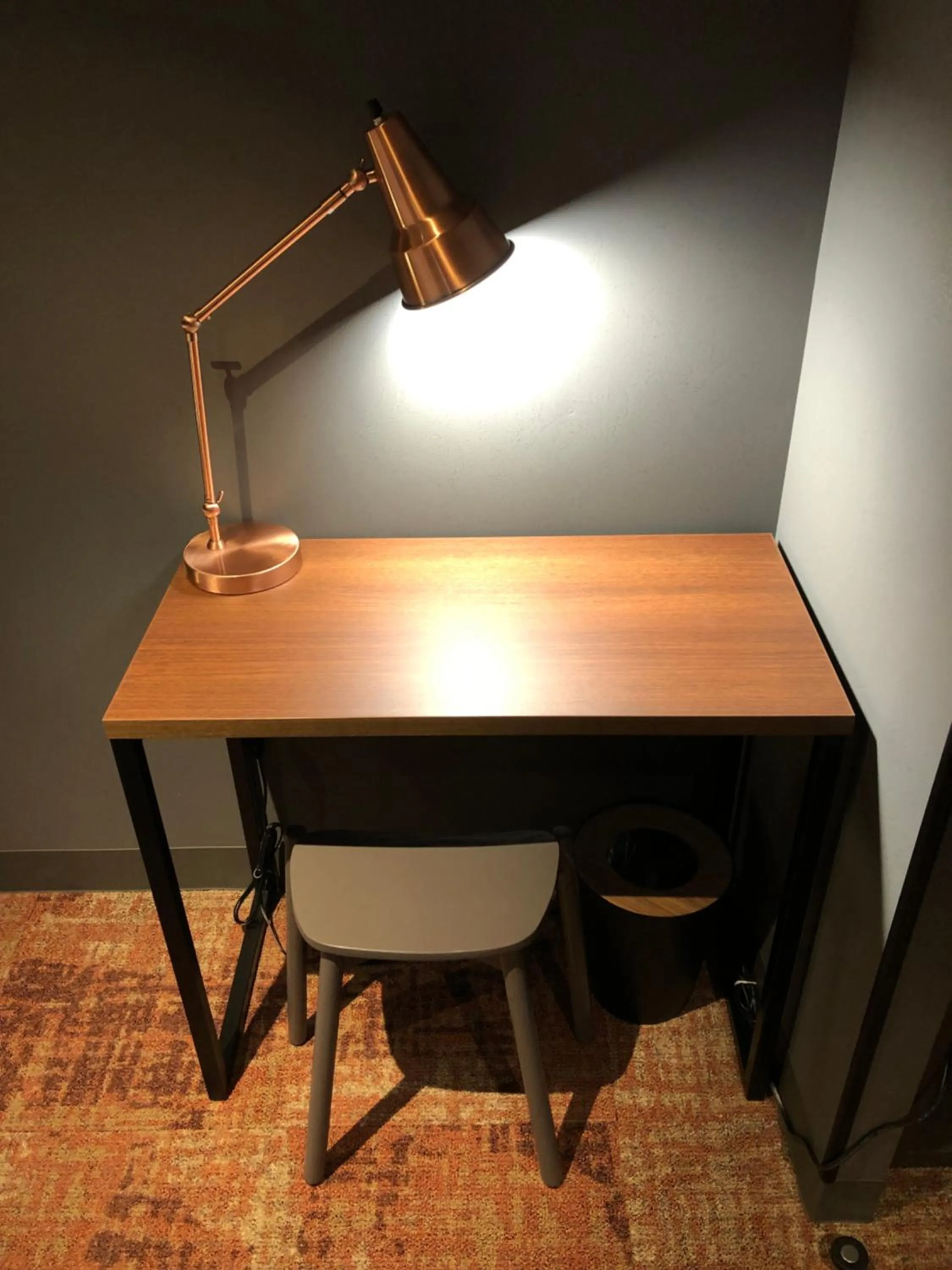 Photo of the whole room in LOF HOTEL Shimbashi