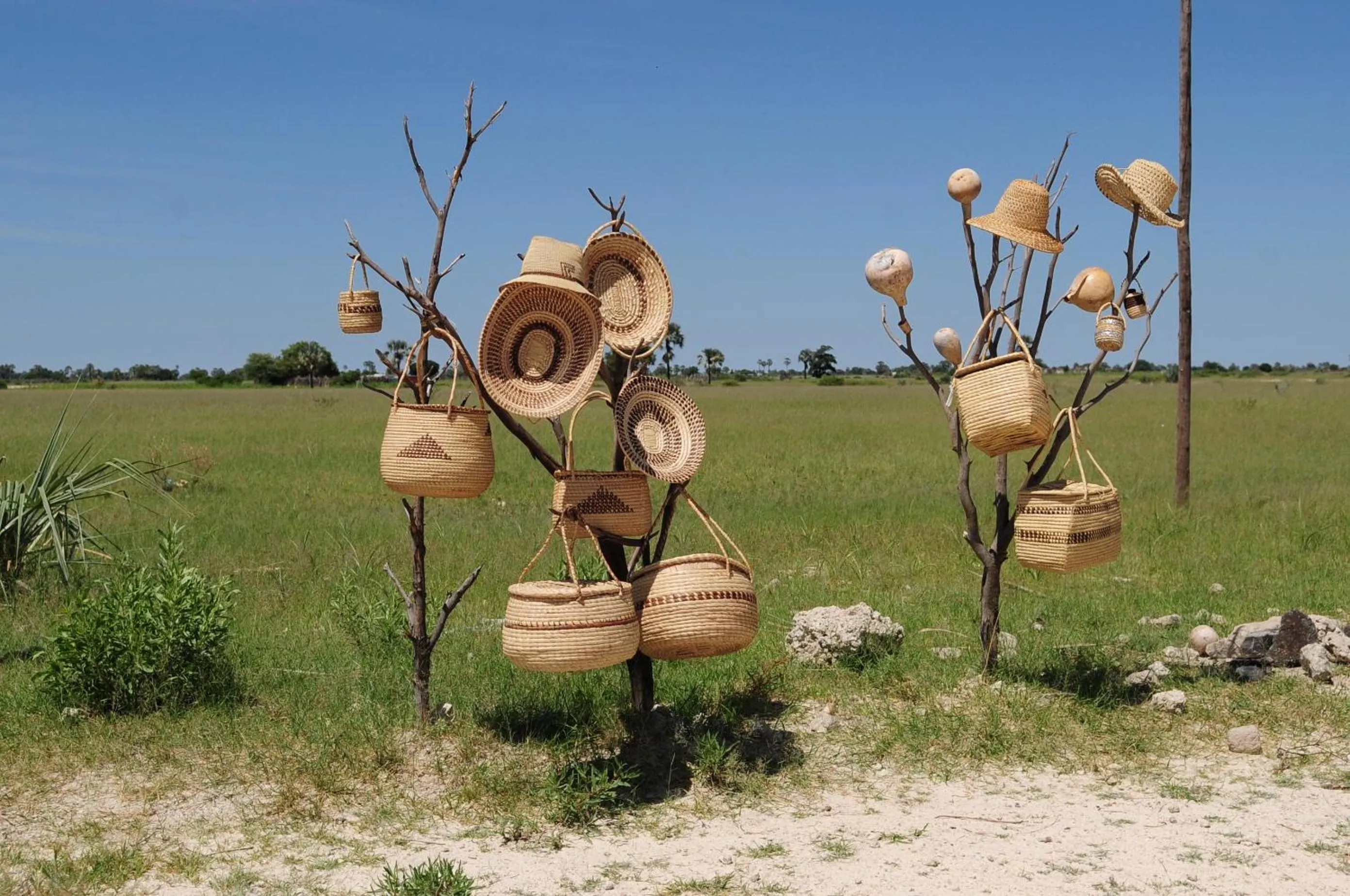 Other in Ongula Village Homestead Lodge