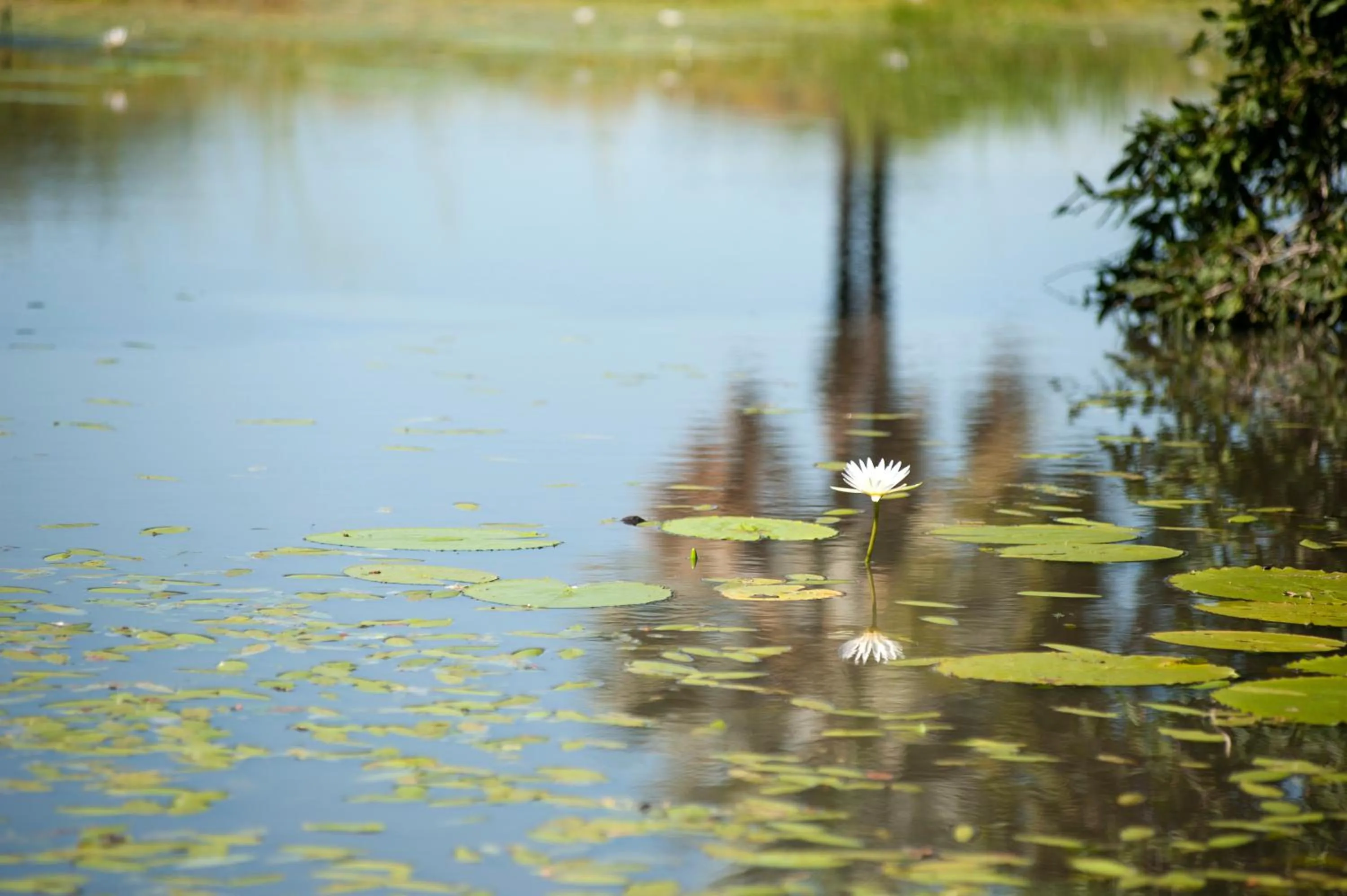 Other in Ongula Village Homestead Lodge