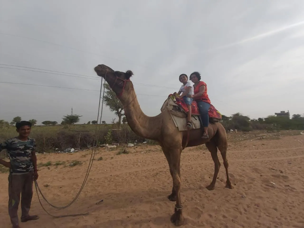 Animals in Shri Ram Wild Desert Resort