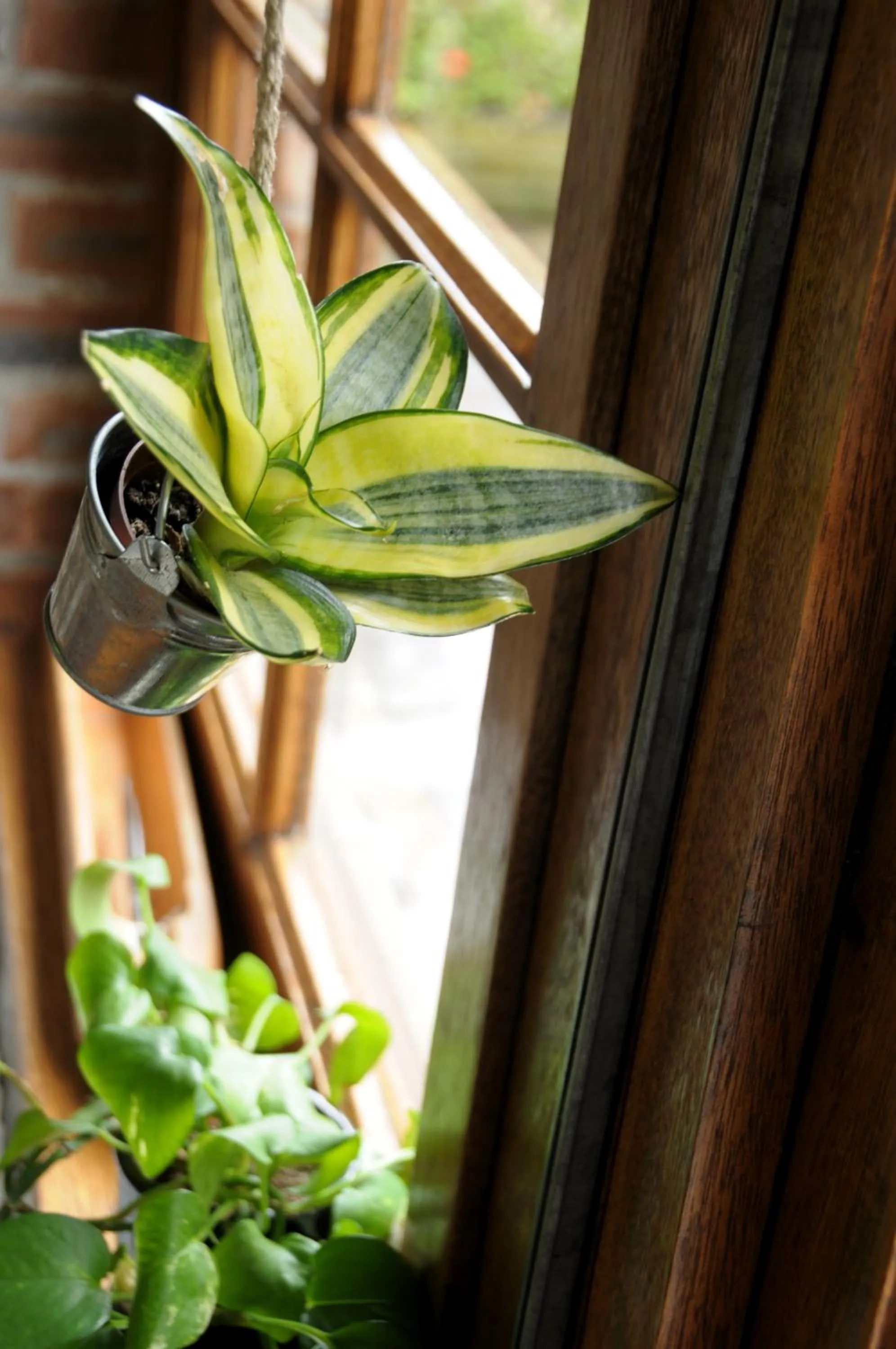 Restaurant/places to eat in Logis Hôtel LE DAHU