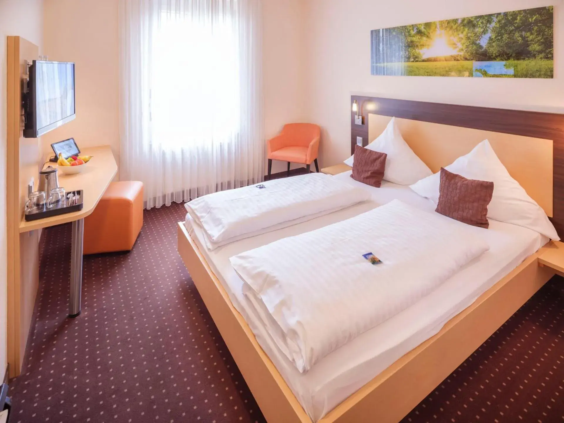 Queen Room - single occupancy in Hotel Berkheimer Hof Queen Room - single occupancy in Hotel Berkheimer Hof