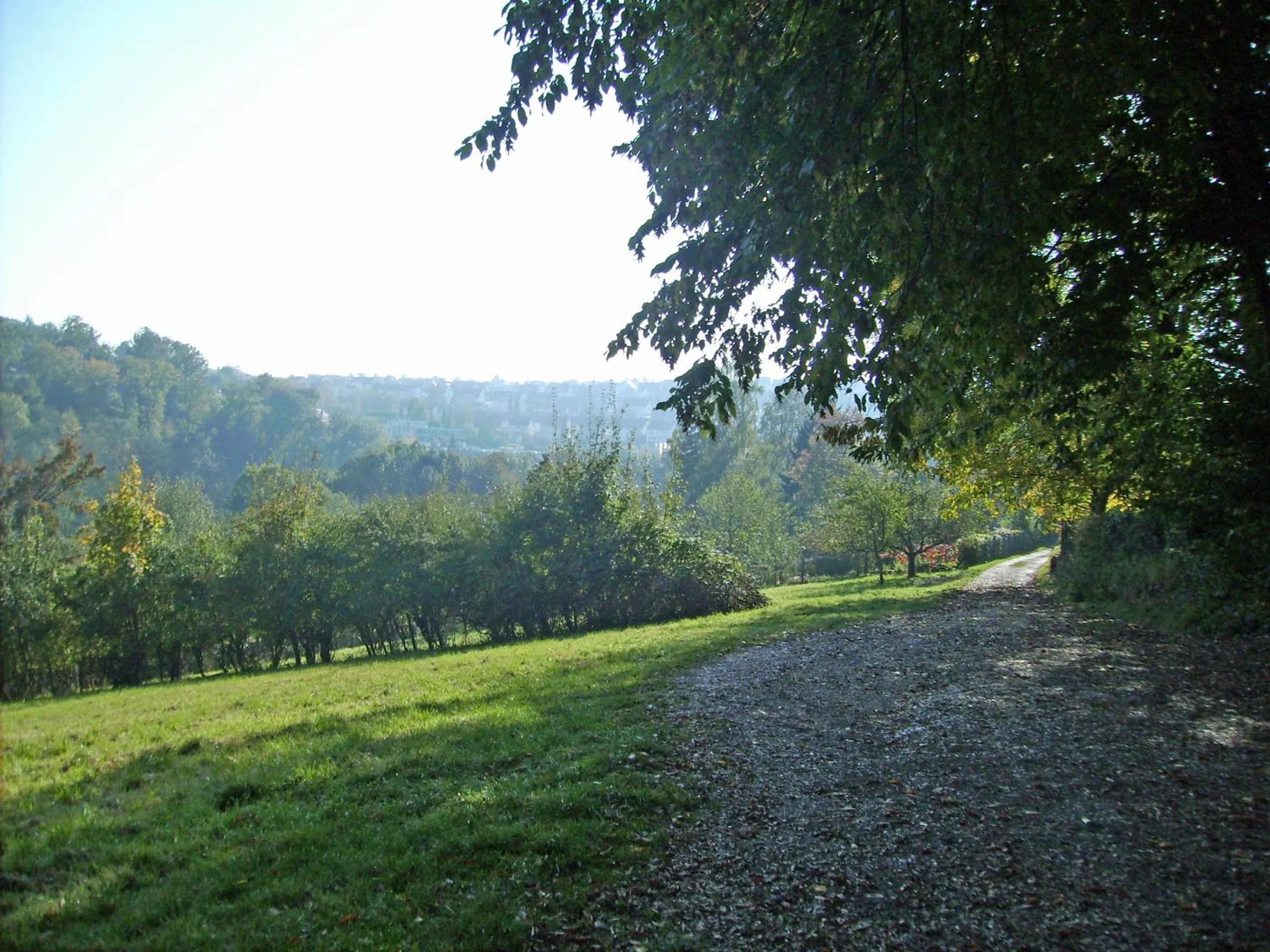 Natural landscape in Hotel Berkheimer Hof