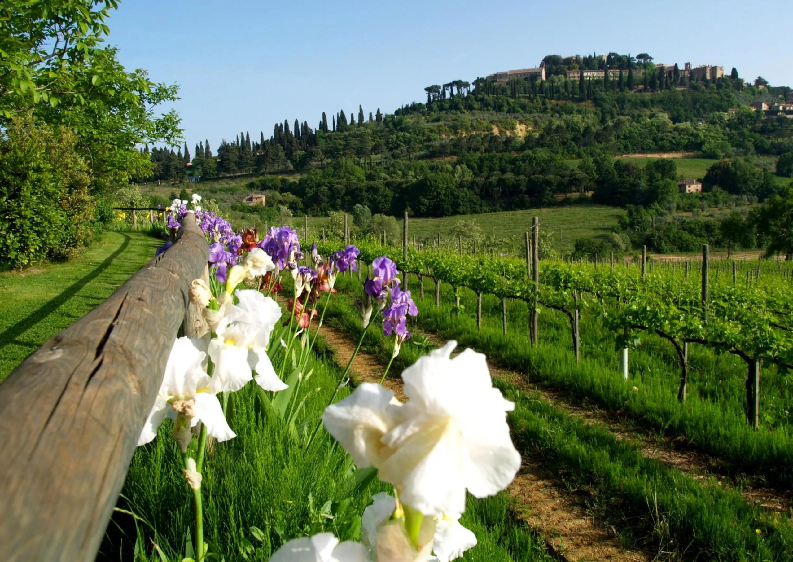 Area and facilities in Agriturismo Nobile