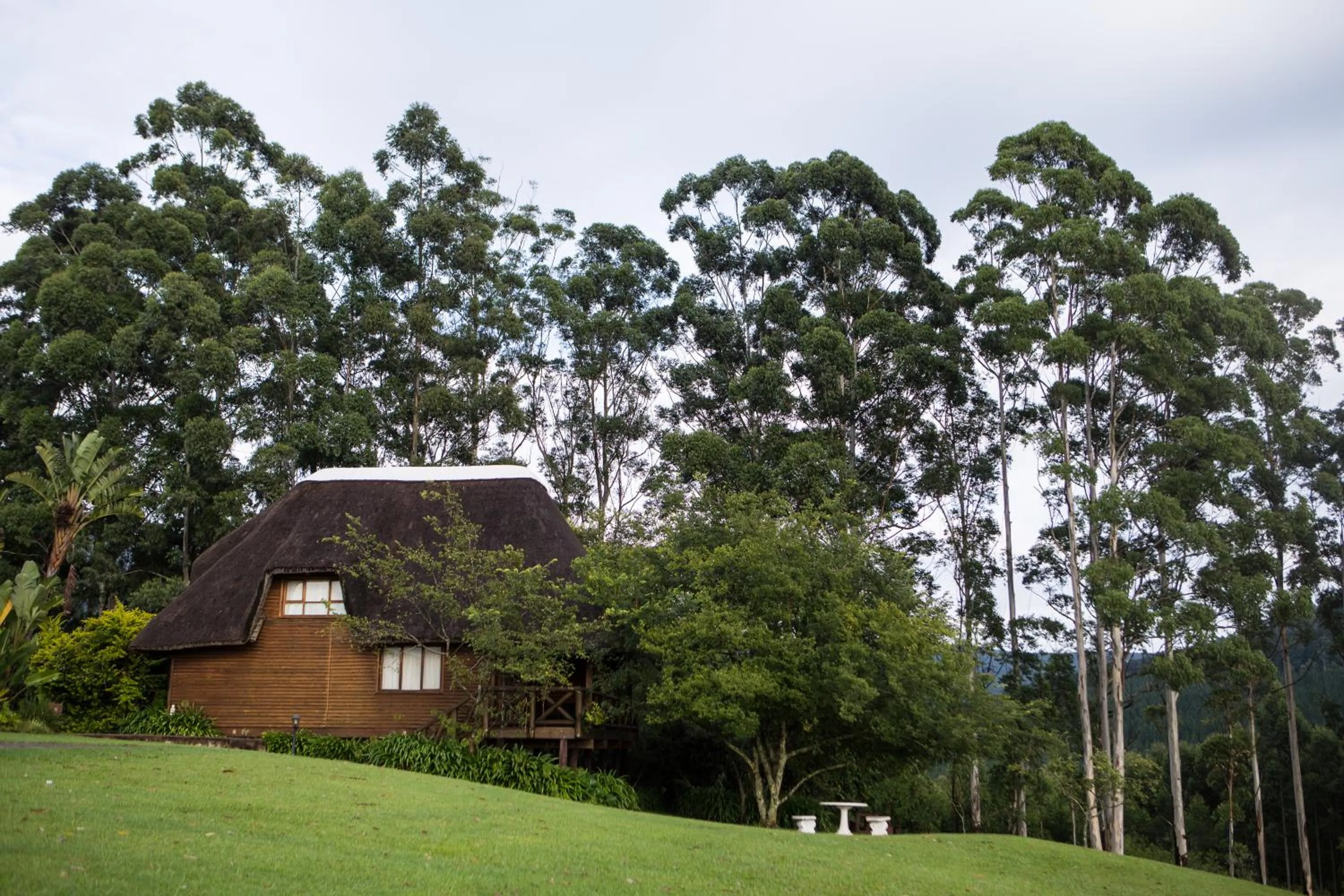 Superior Chalet in ANEW Resort Ingeli Forest Kokstad