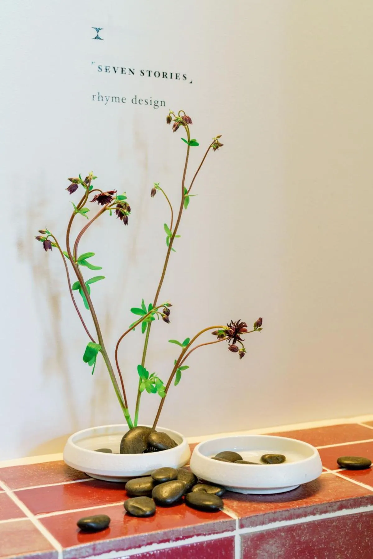 Facade/entrance in Seven Stories