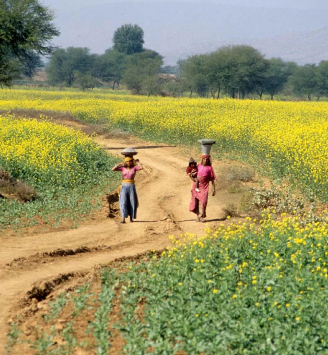 People in Amritara Chandra Mahal Haveli, Bharatpur