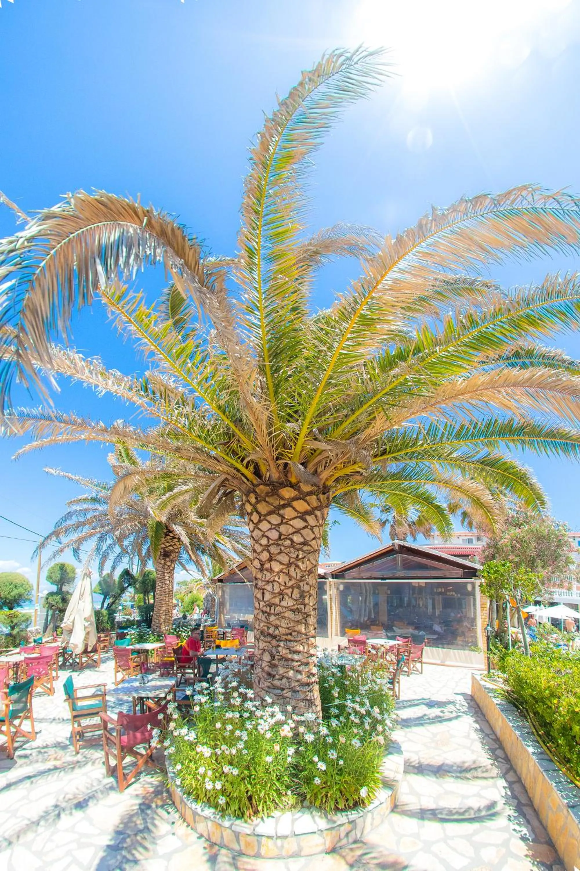 Garden in Angela Beach Hotel & Apts