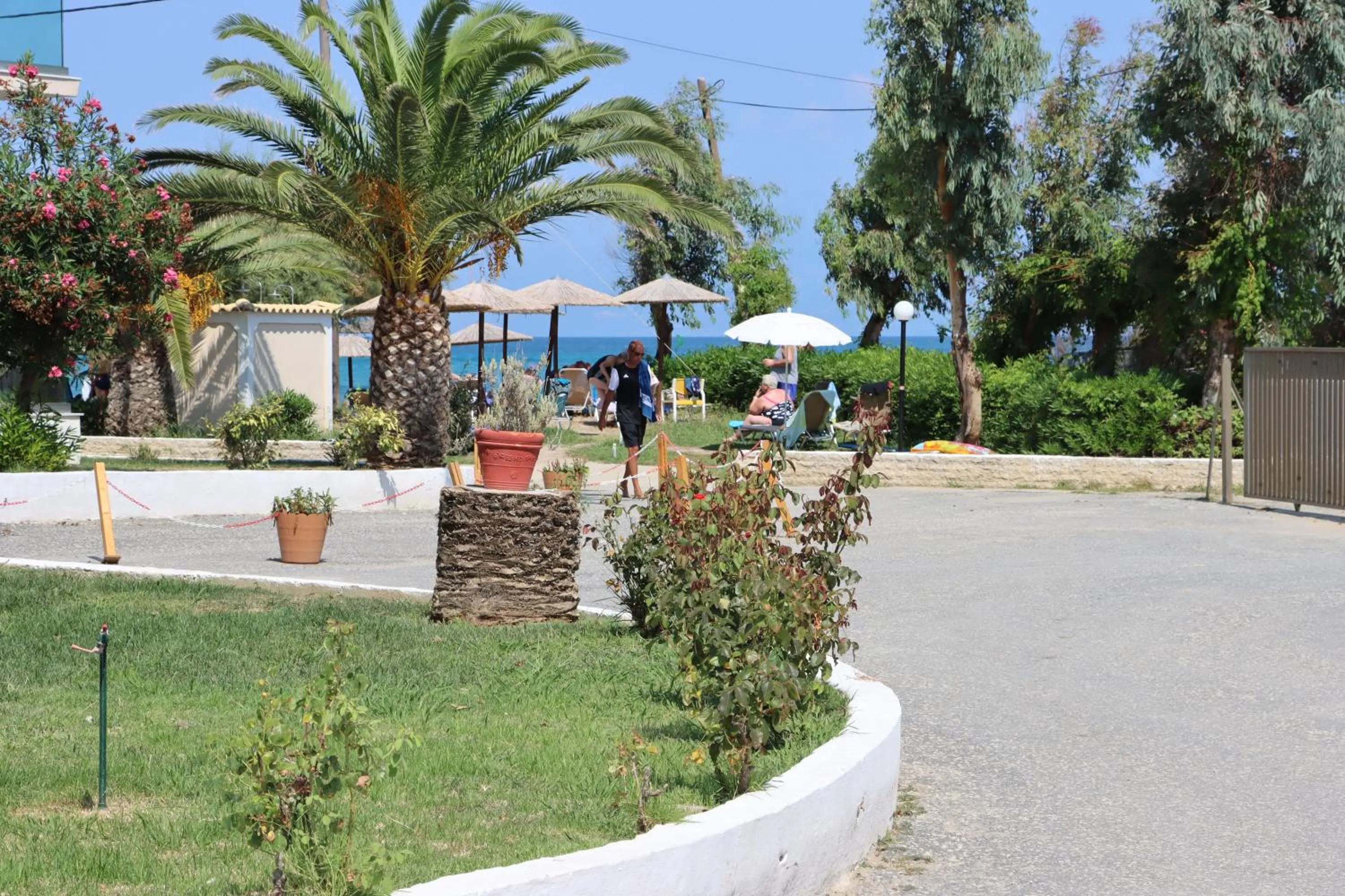 Garden view in Angela Beach Hotel & Apts