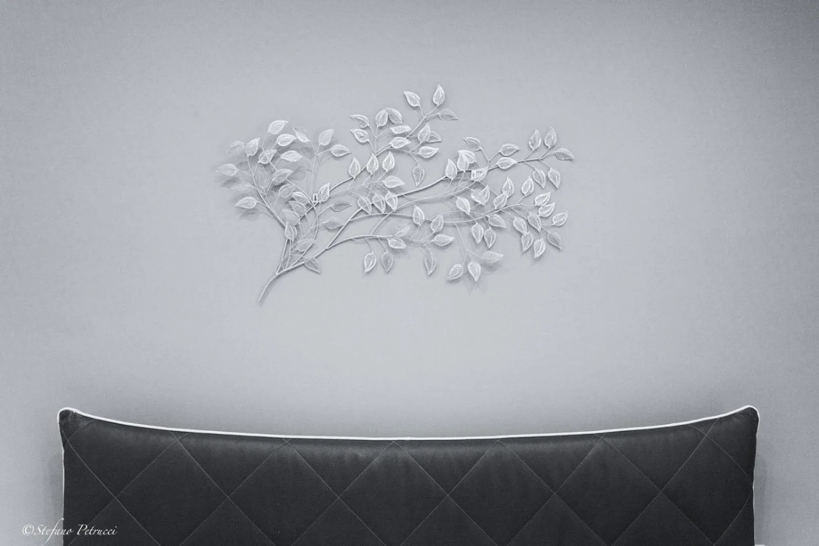 furniture in Belvedere 75