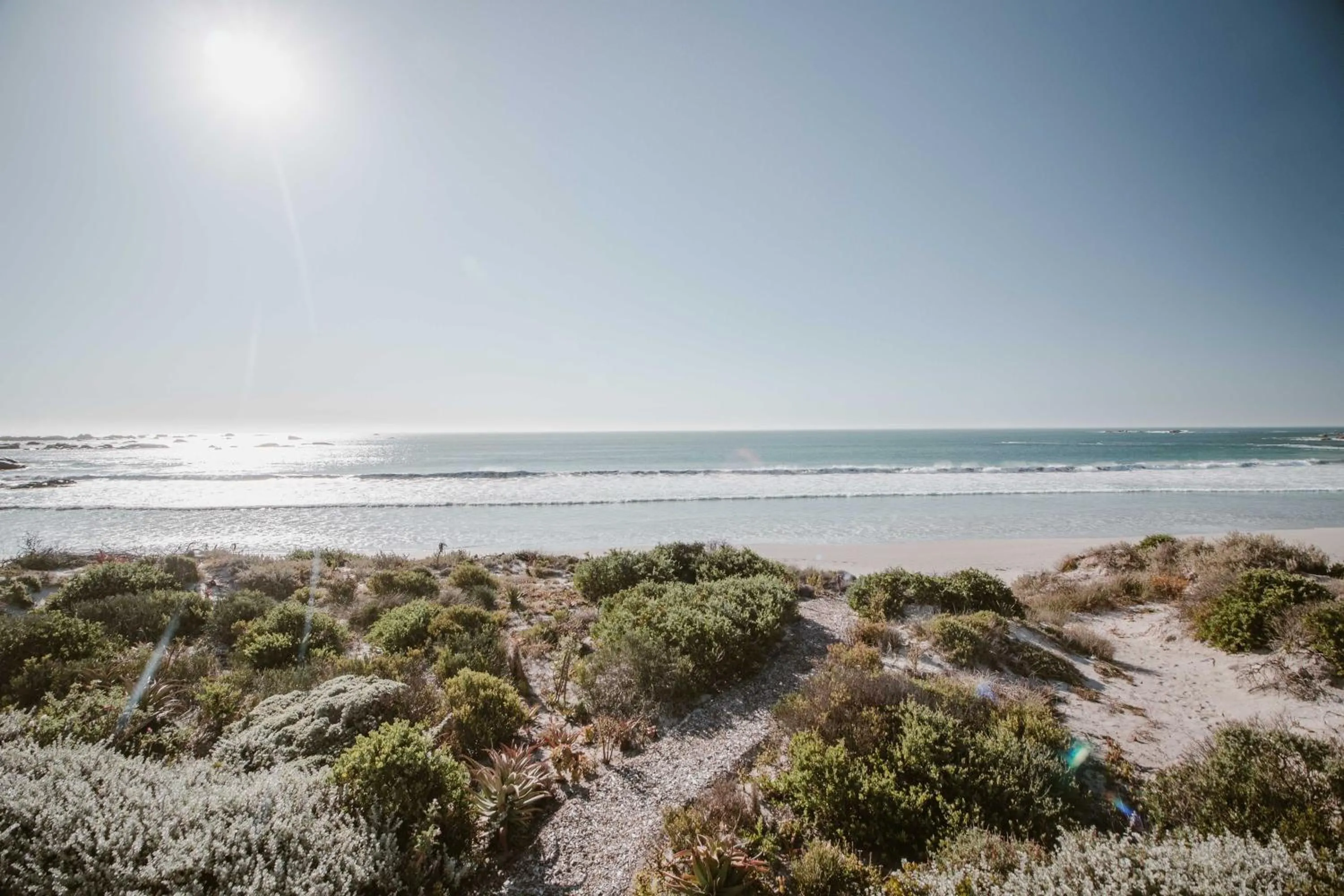 Natural landscape in Gonana Guesthouse