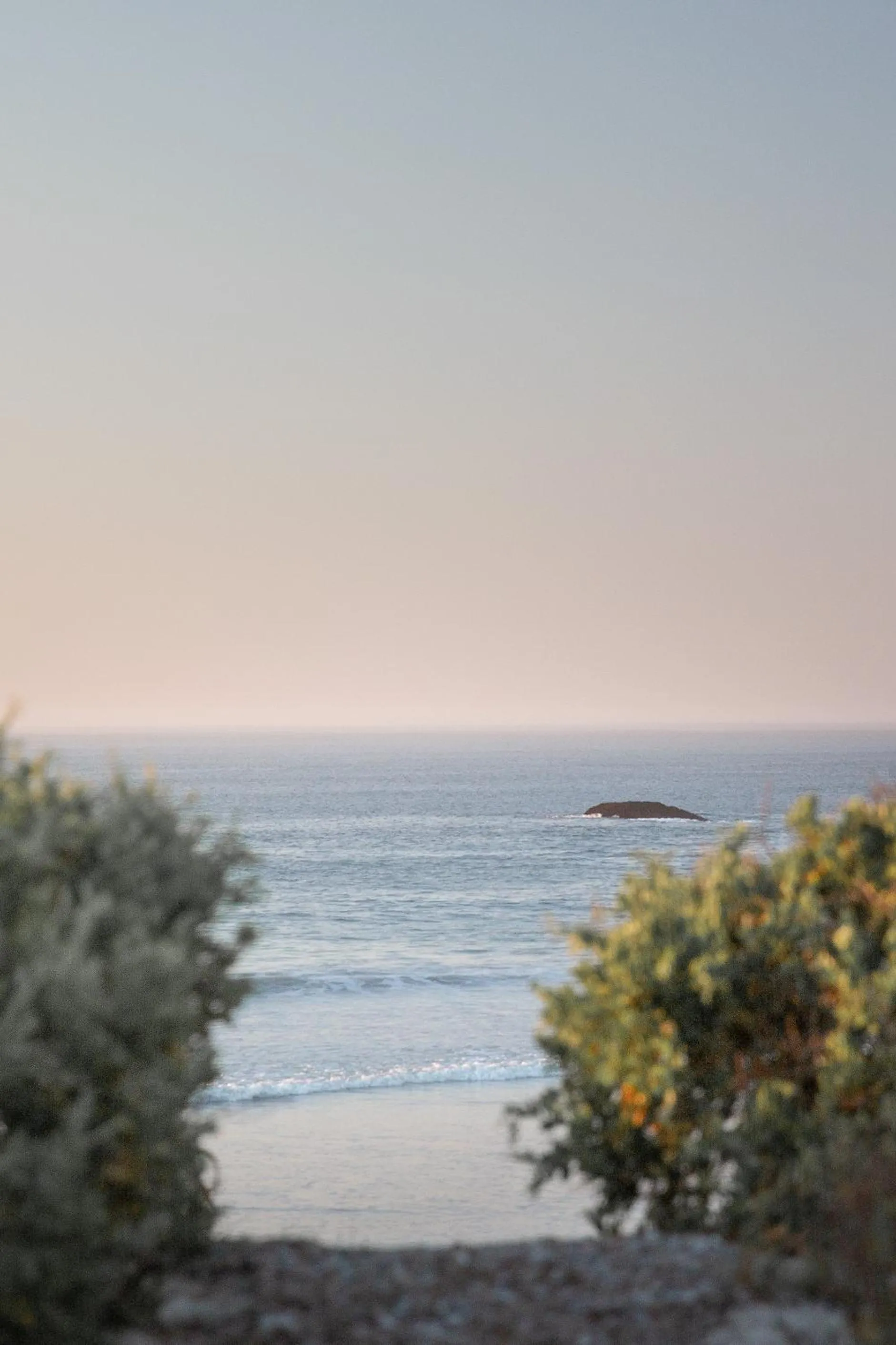 Natural landscape in Gonana Guesthouse