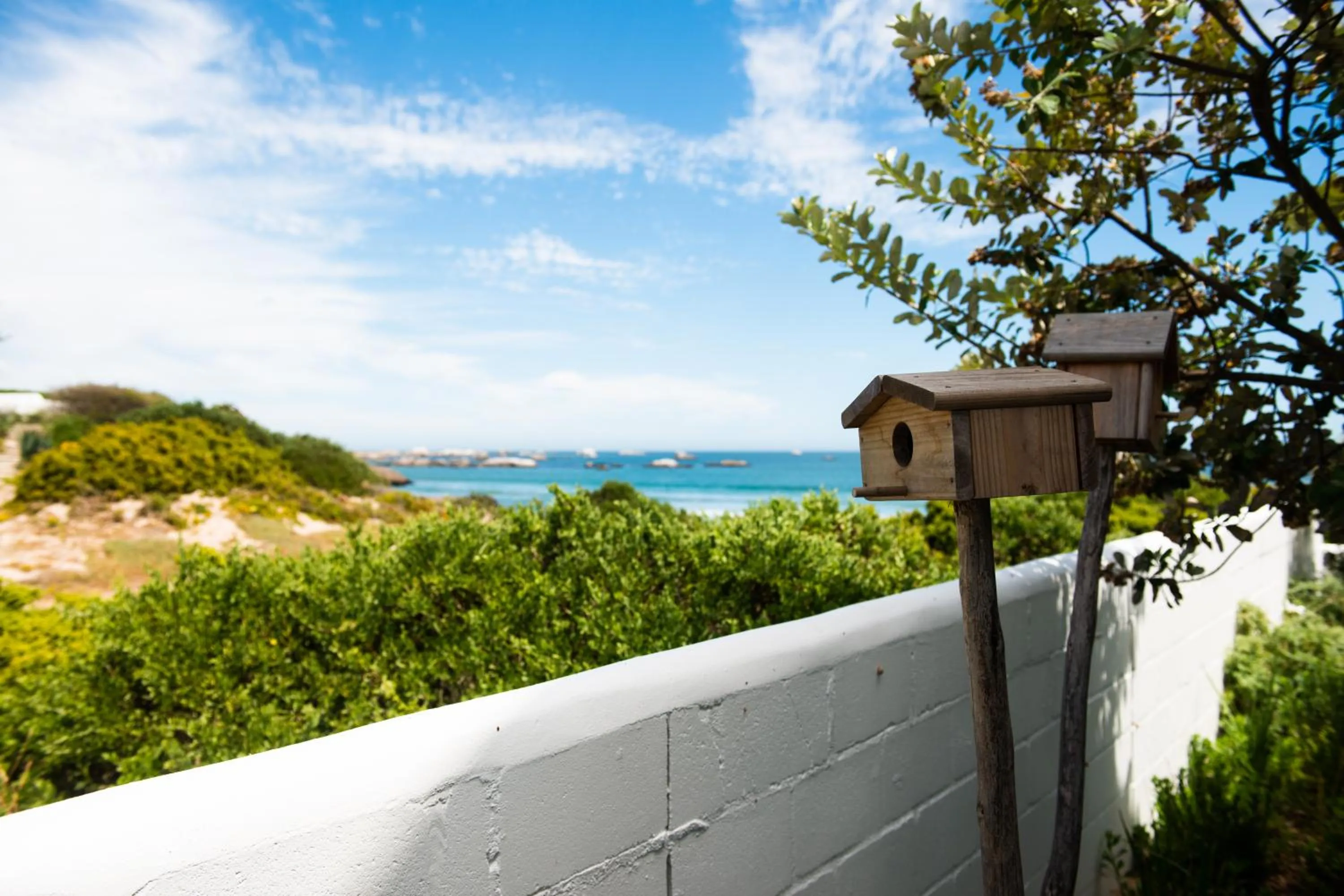 View (from property/room) in Gonana Guesthouse