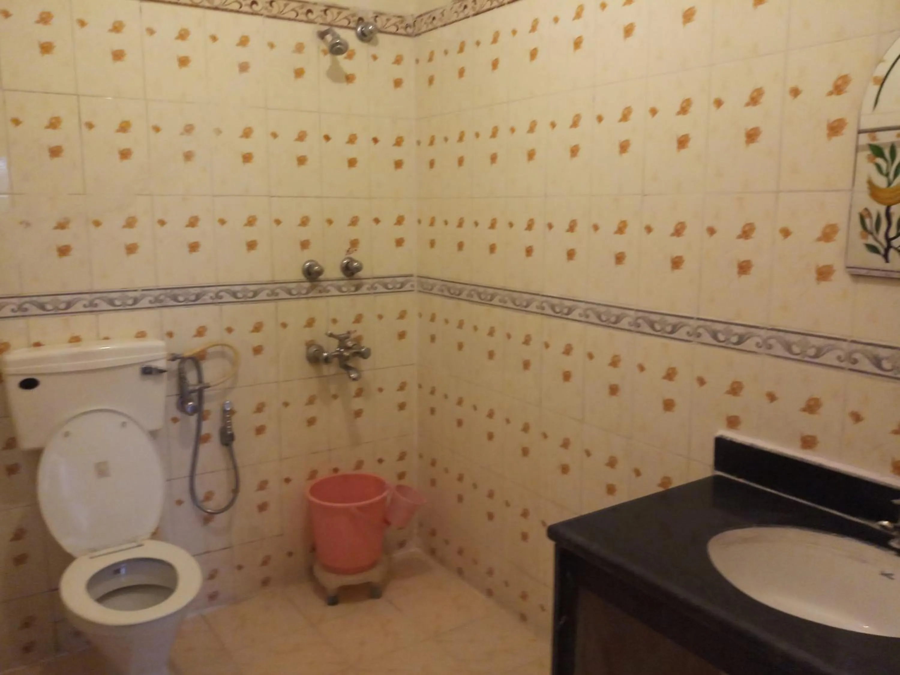 Other in Hotel Shekhawati Mandawa