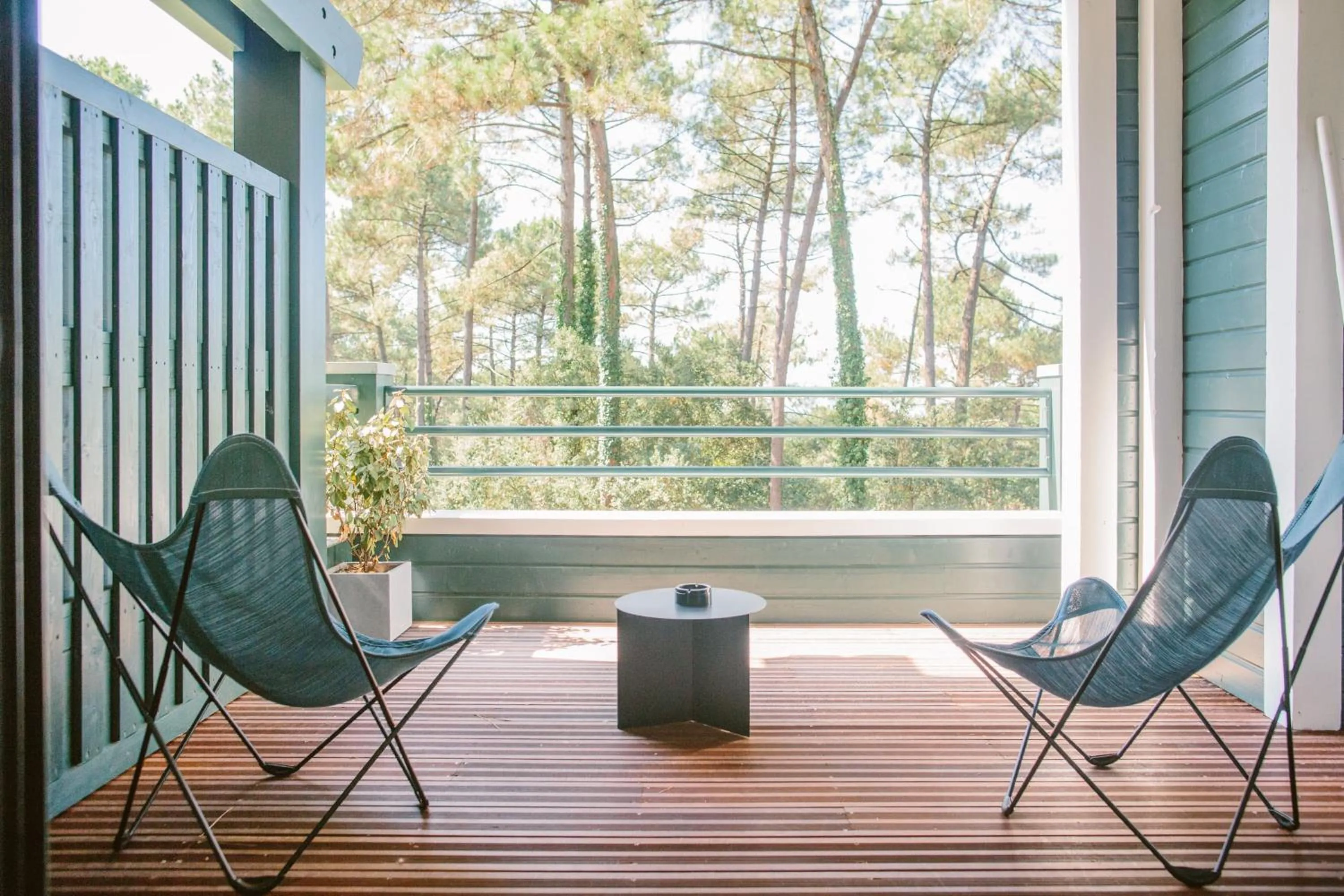 Patio in 70 Hectares... et l'Océan