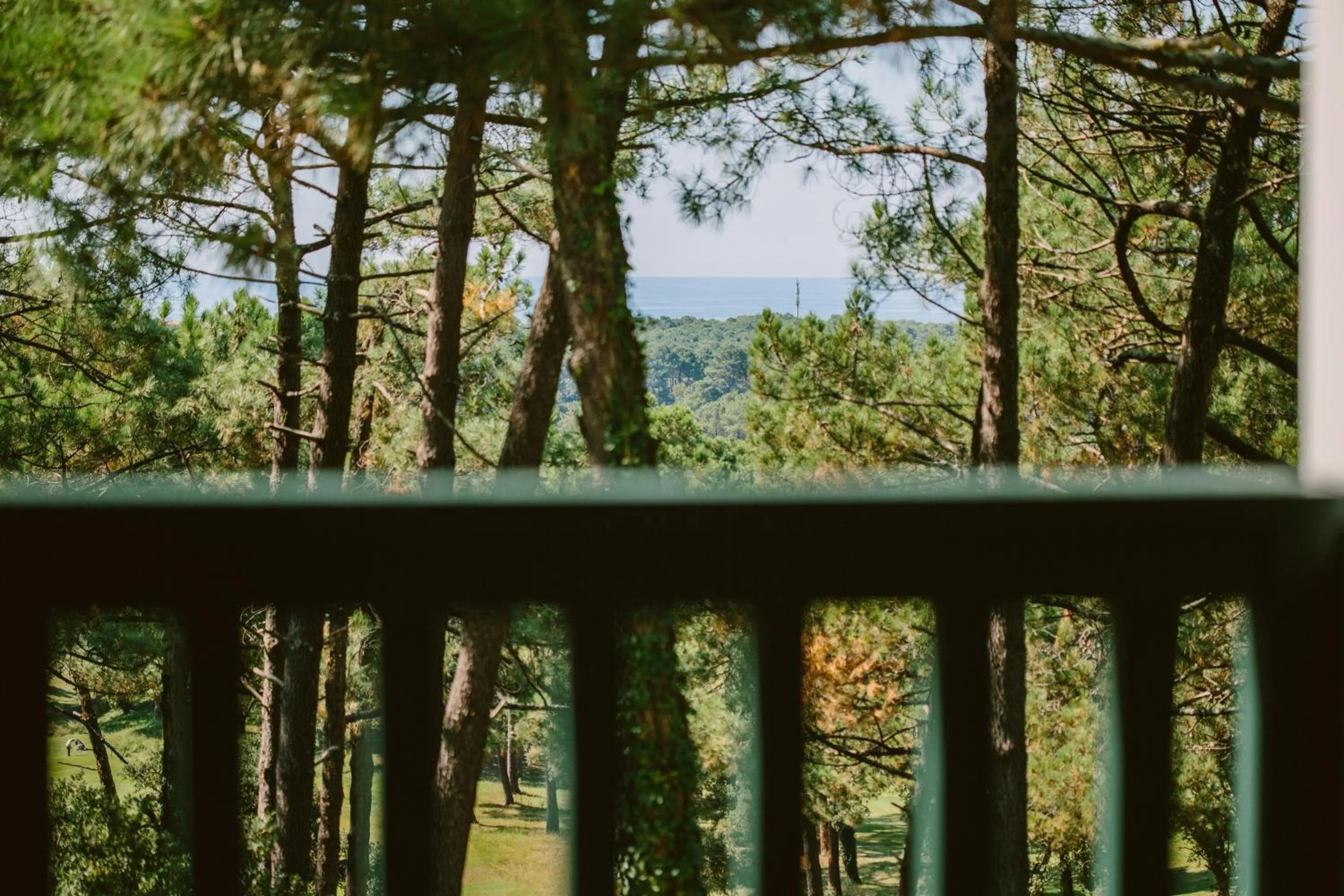 View (from property/room) in 70 Hectares... et l'Océan