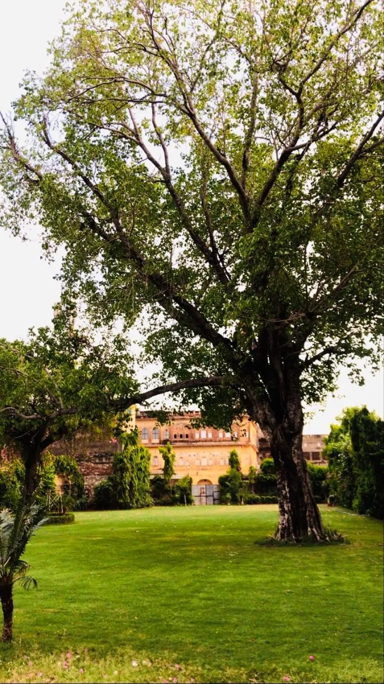 Garden in Saba Haveli