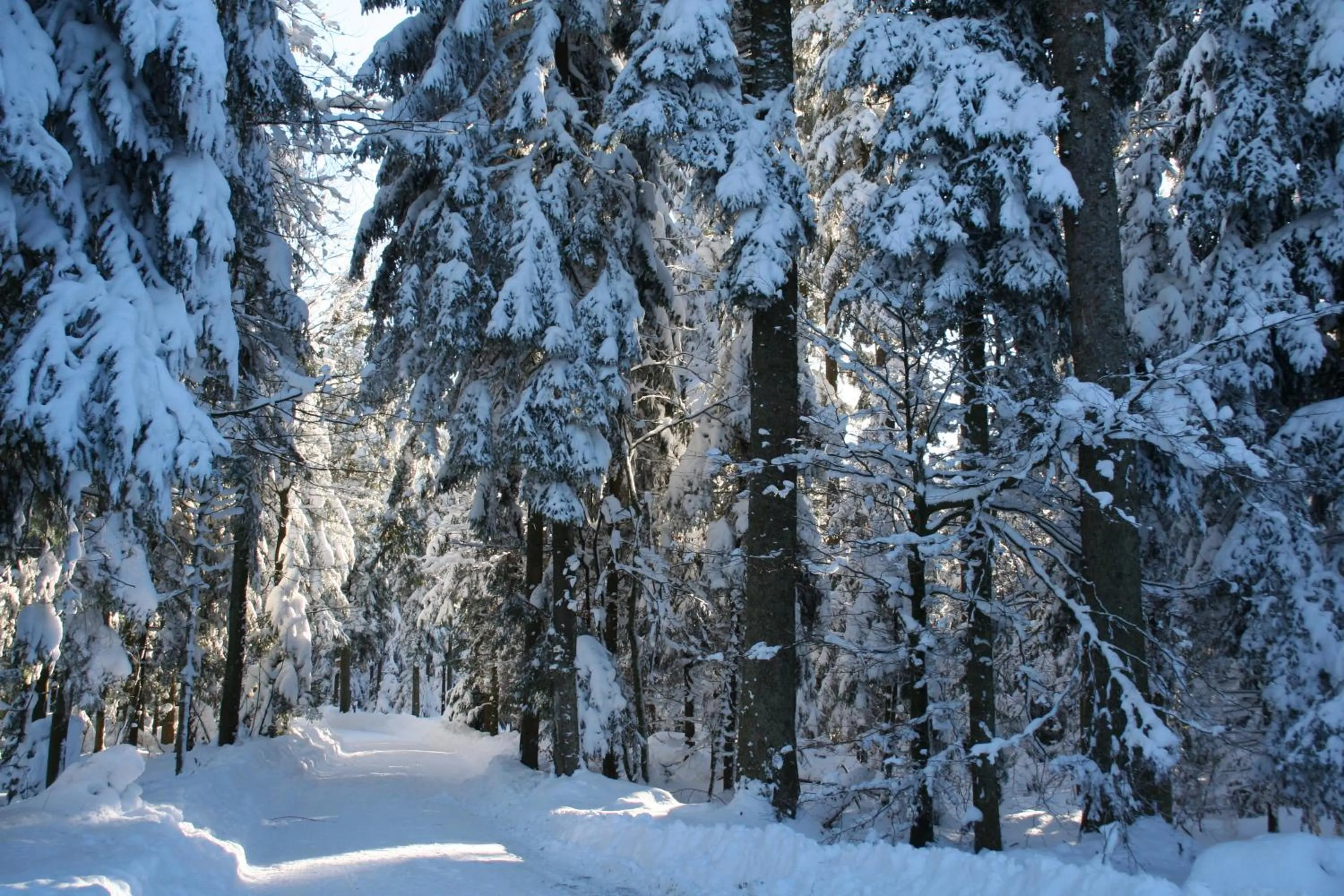 Day in Hotel Sonnenhof