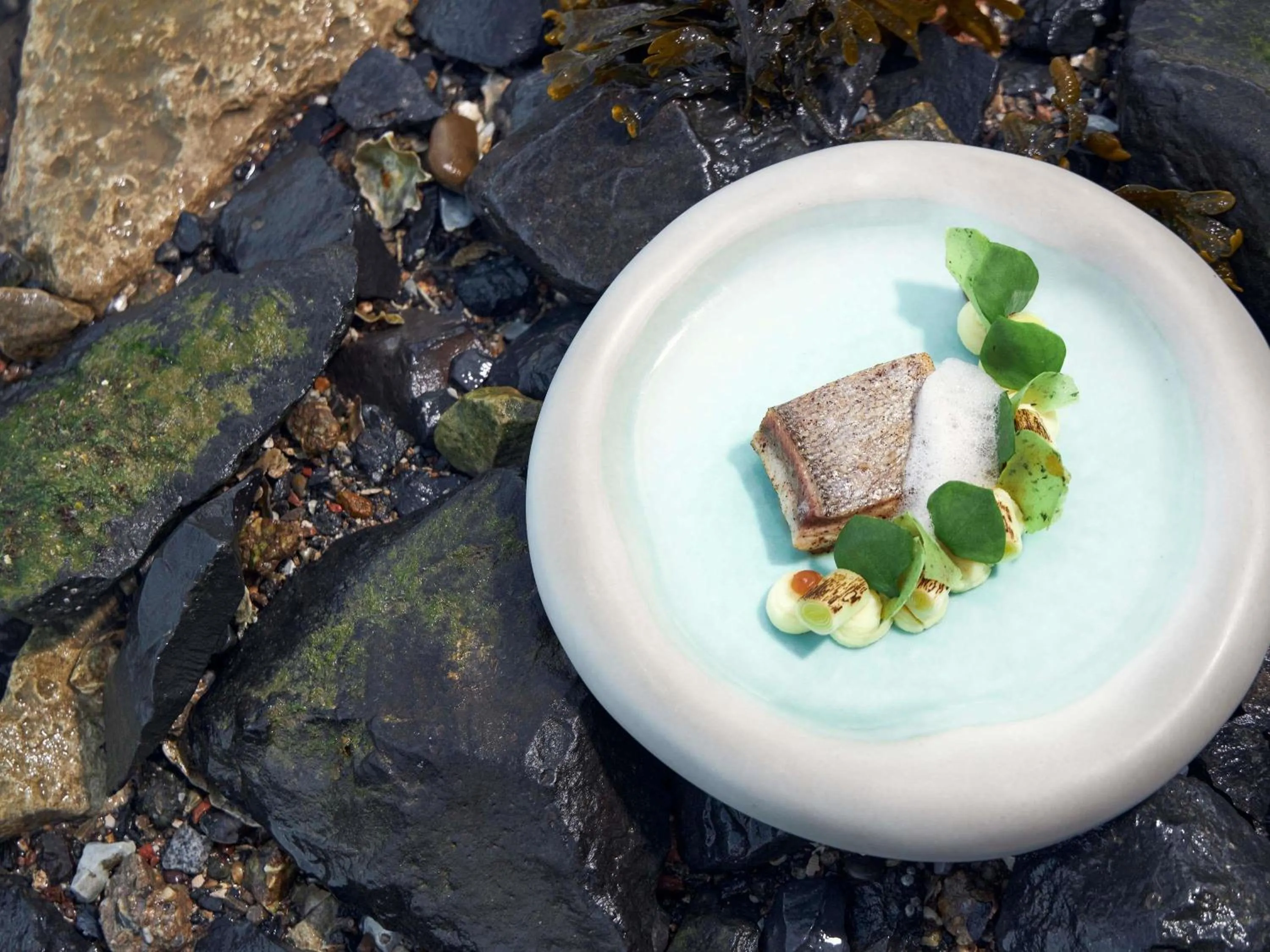 Property building in Hotel Ter Zand - Handwritten Collection