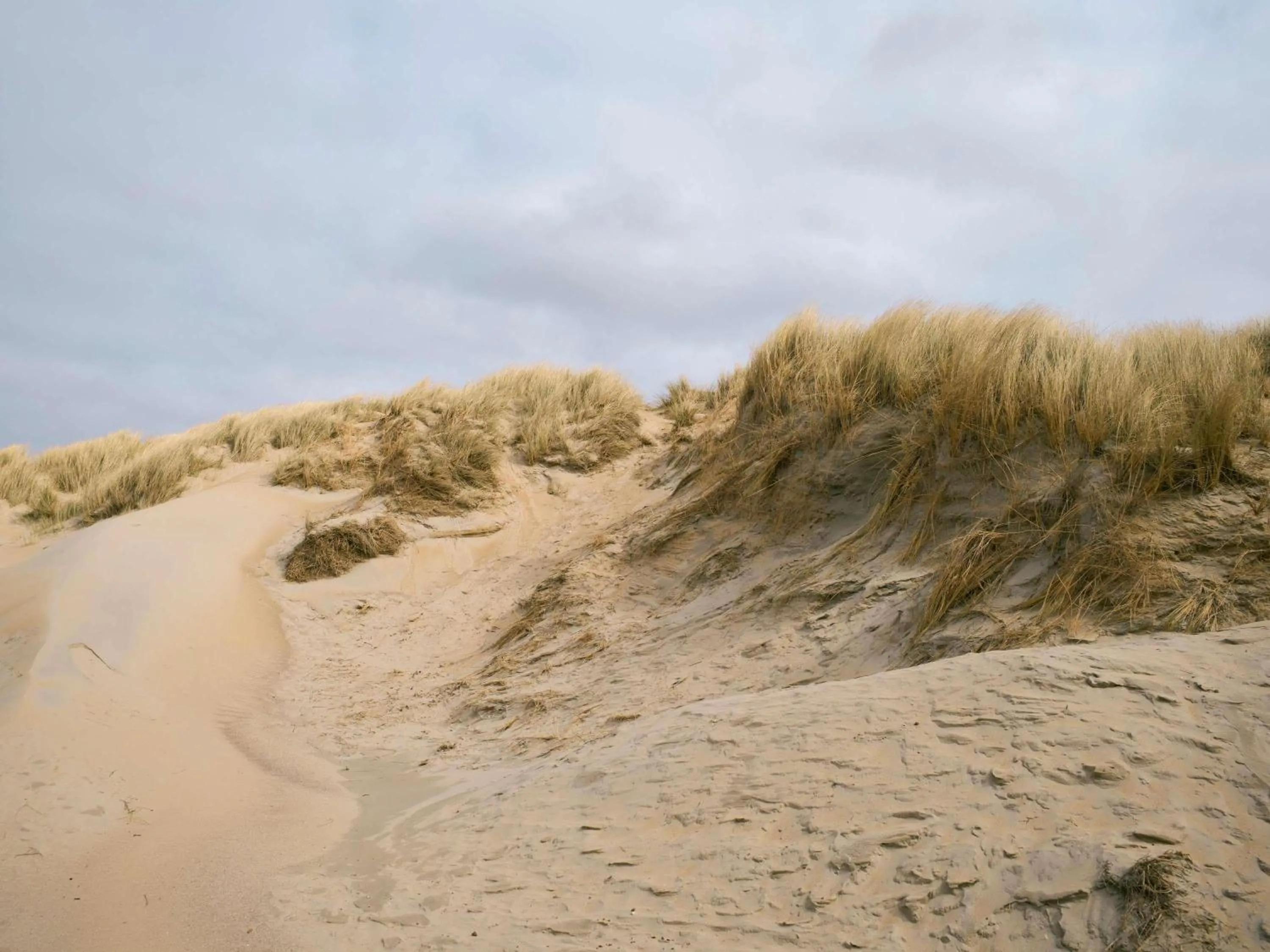 Property building in Hotel Ter Zand - Handwritten Collection