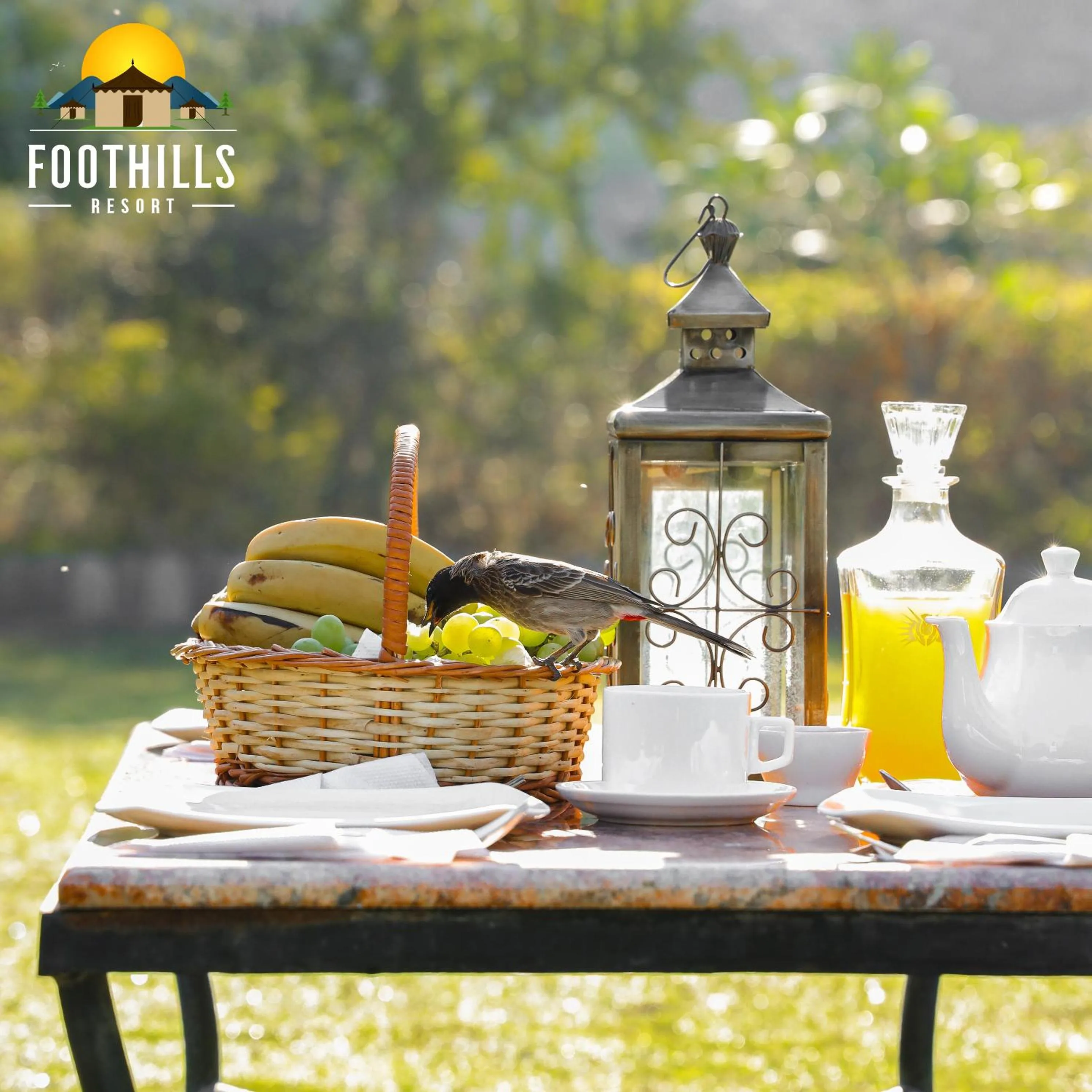 Day in Foothill Pushkar Resort